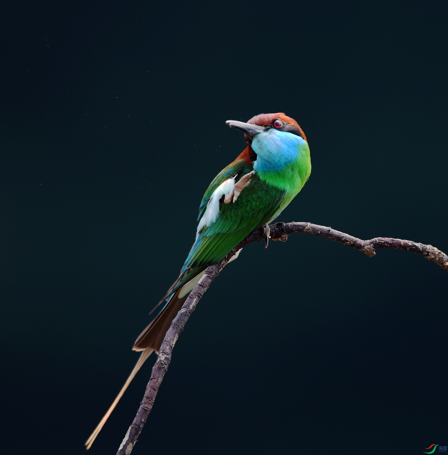DSC_4280.jpg