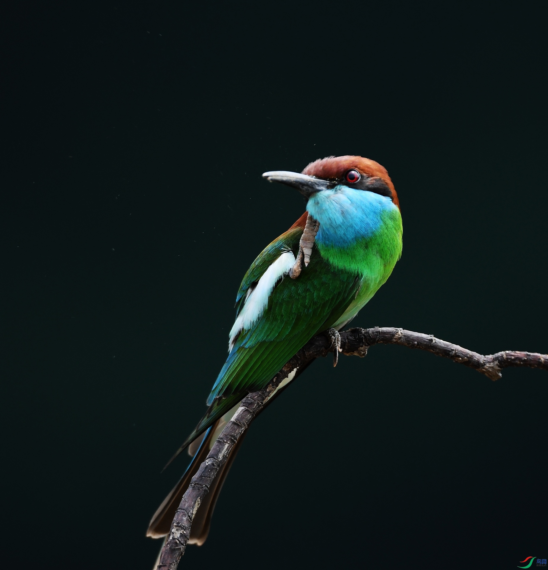 DSC_4281.jpg