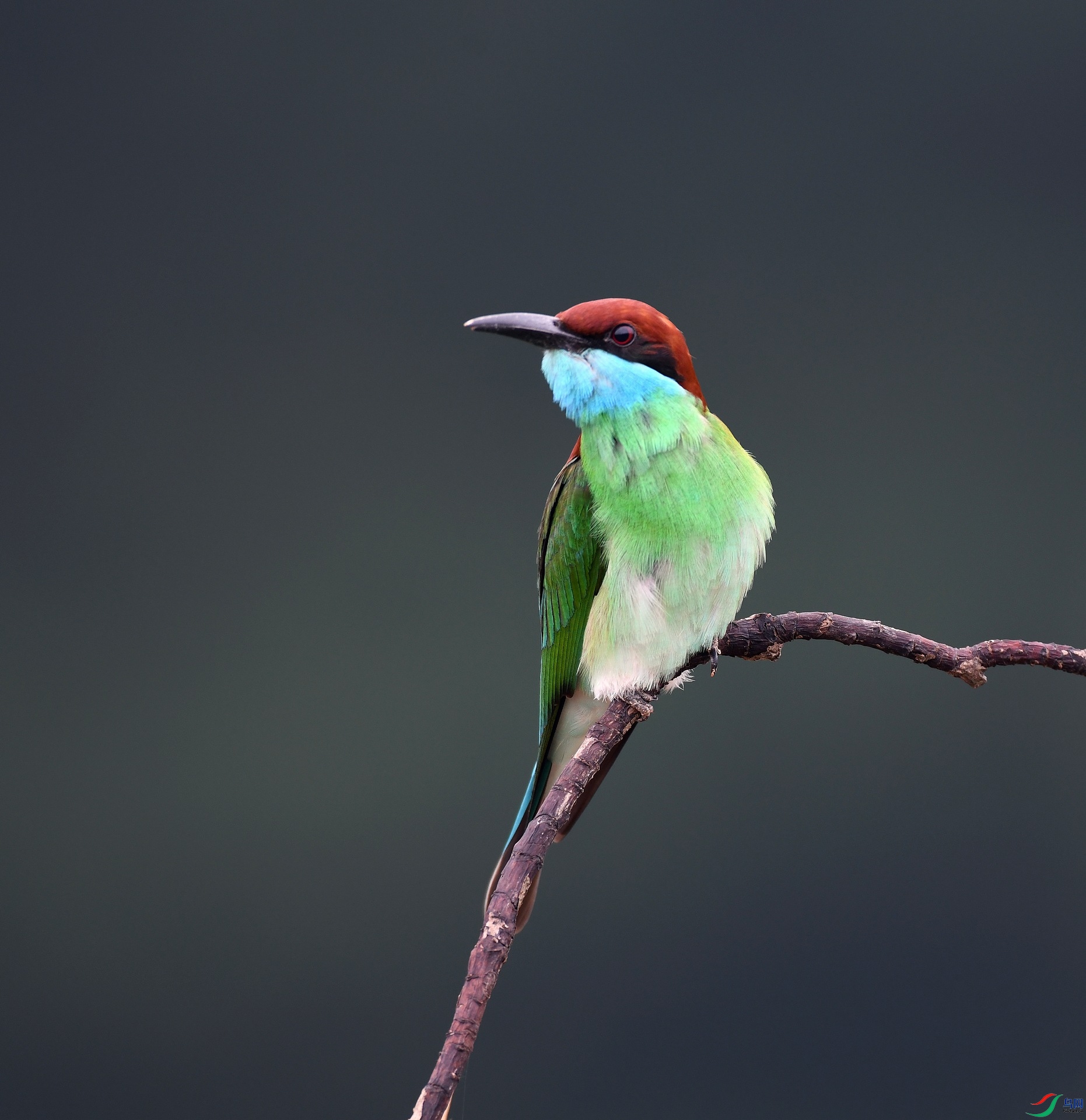 DSC_1465.jpg