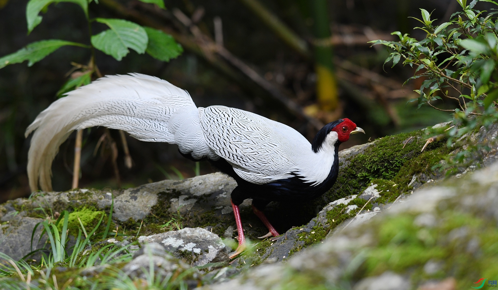 DSC_5763.jpg