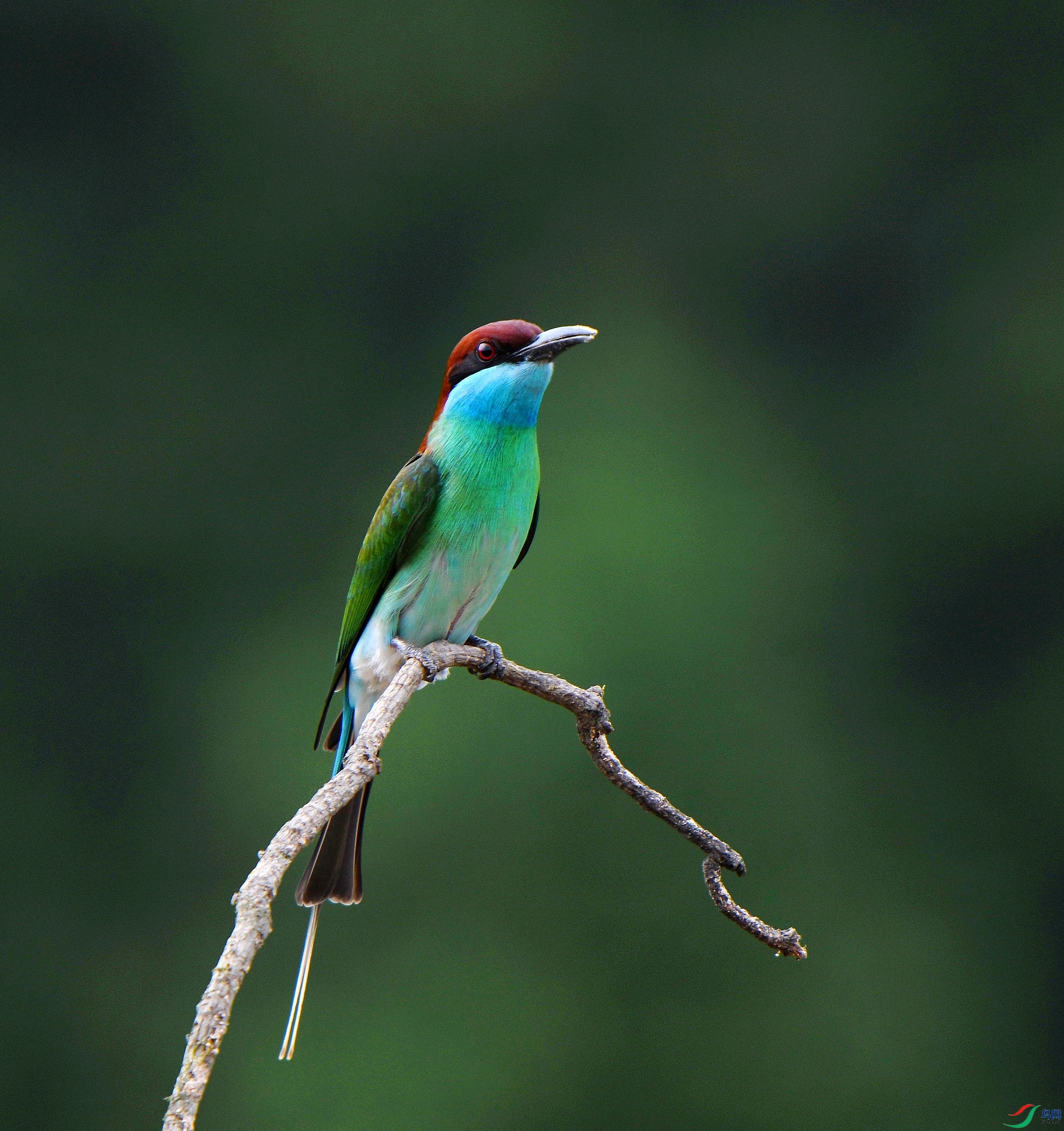 DSC_1473.jpg