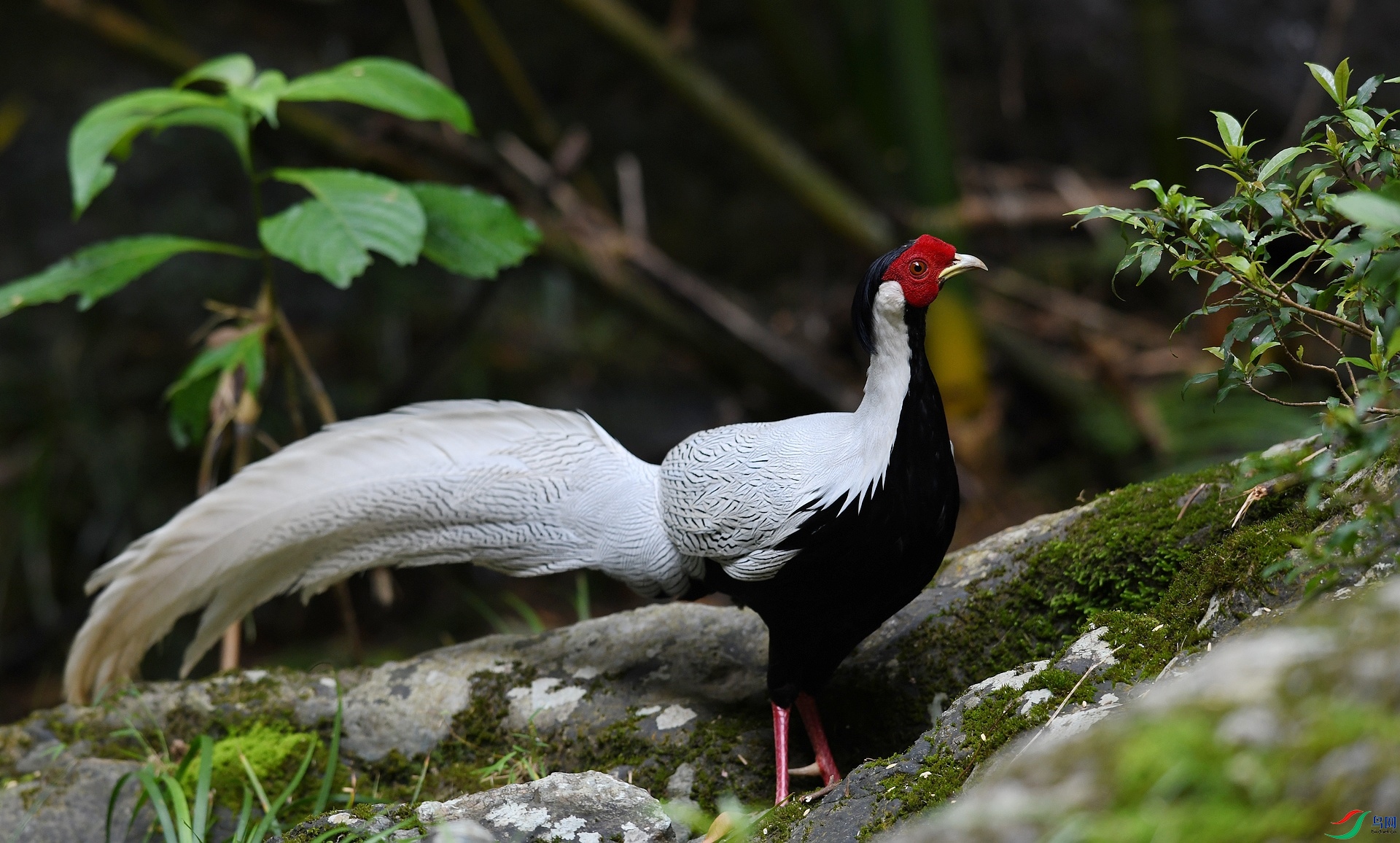 DSC_5764.jpg