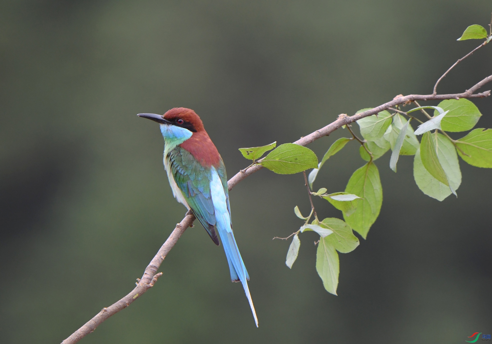 DSC_1633.jpg