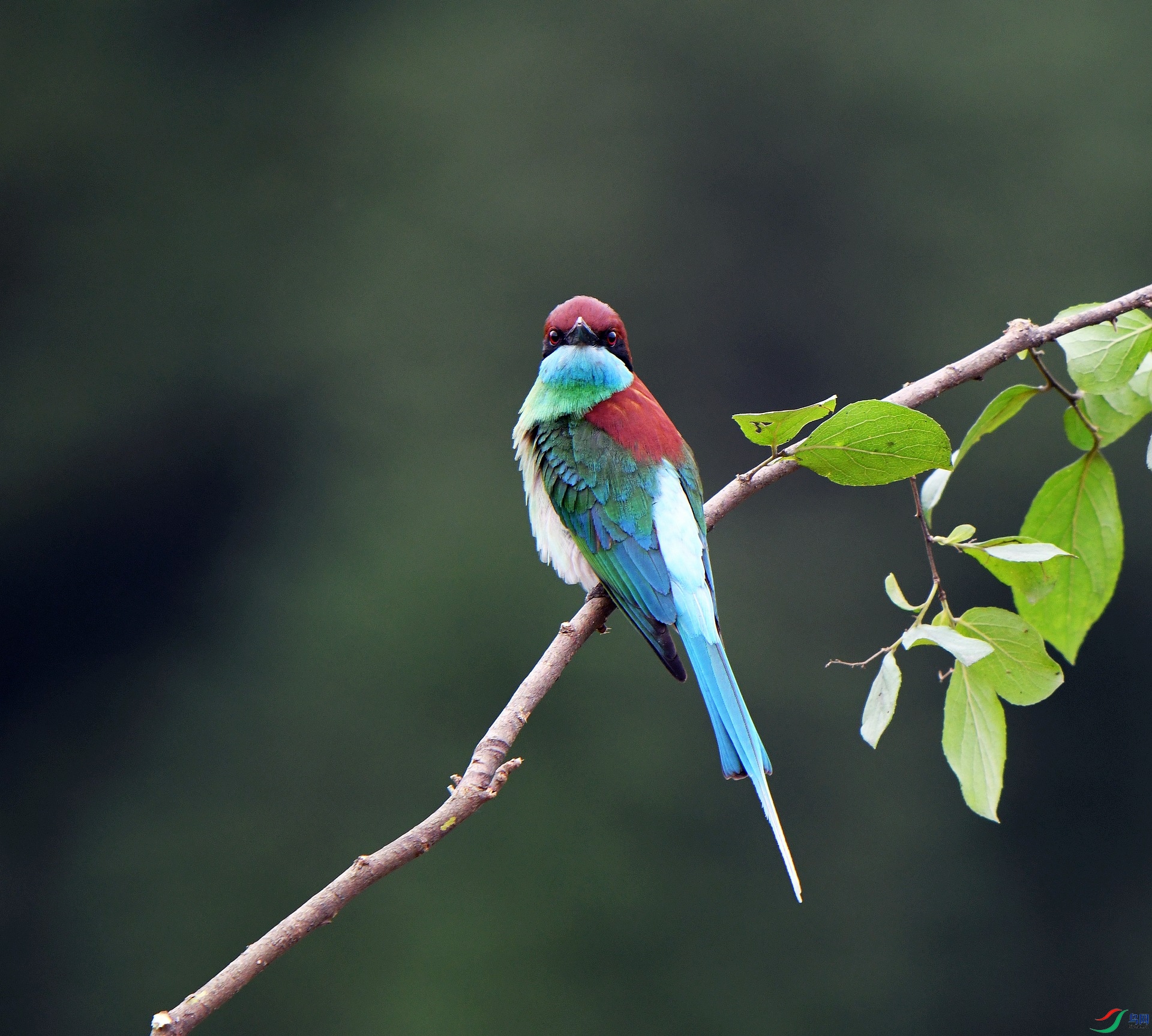 DSC_1635.jpg