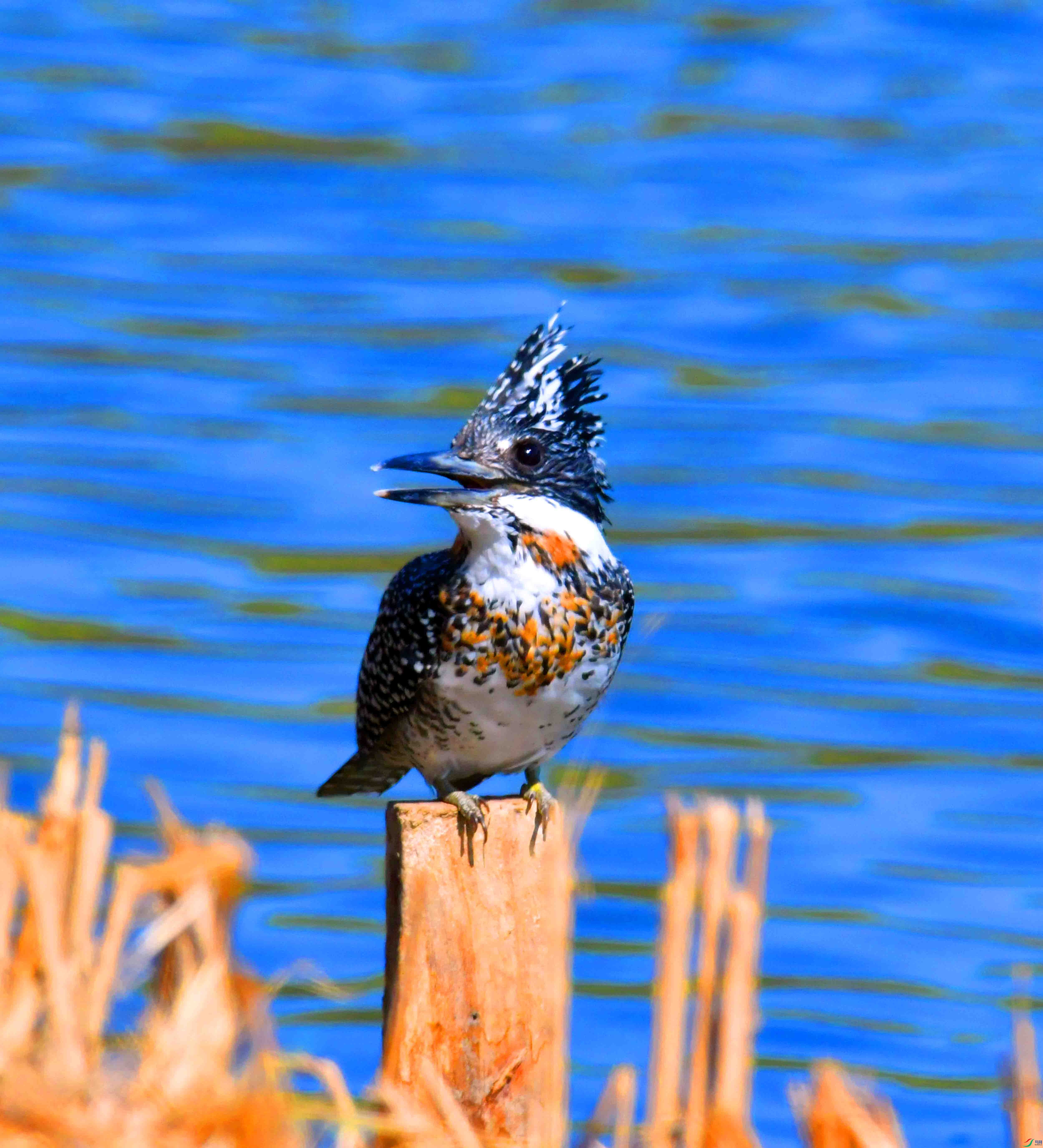 DSC_0843.JPG