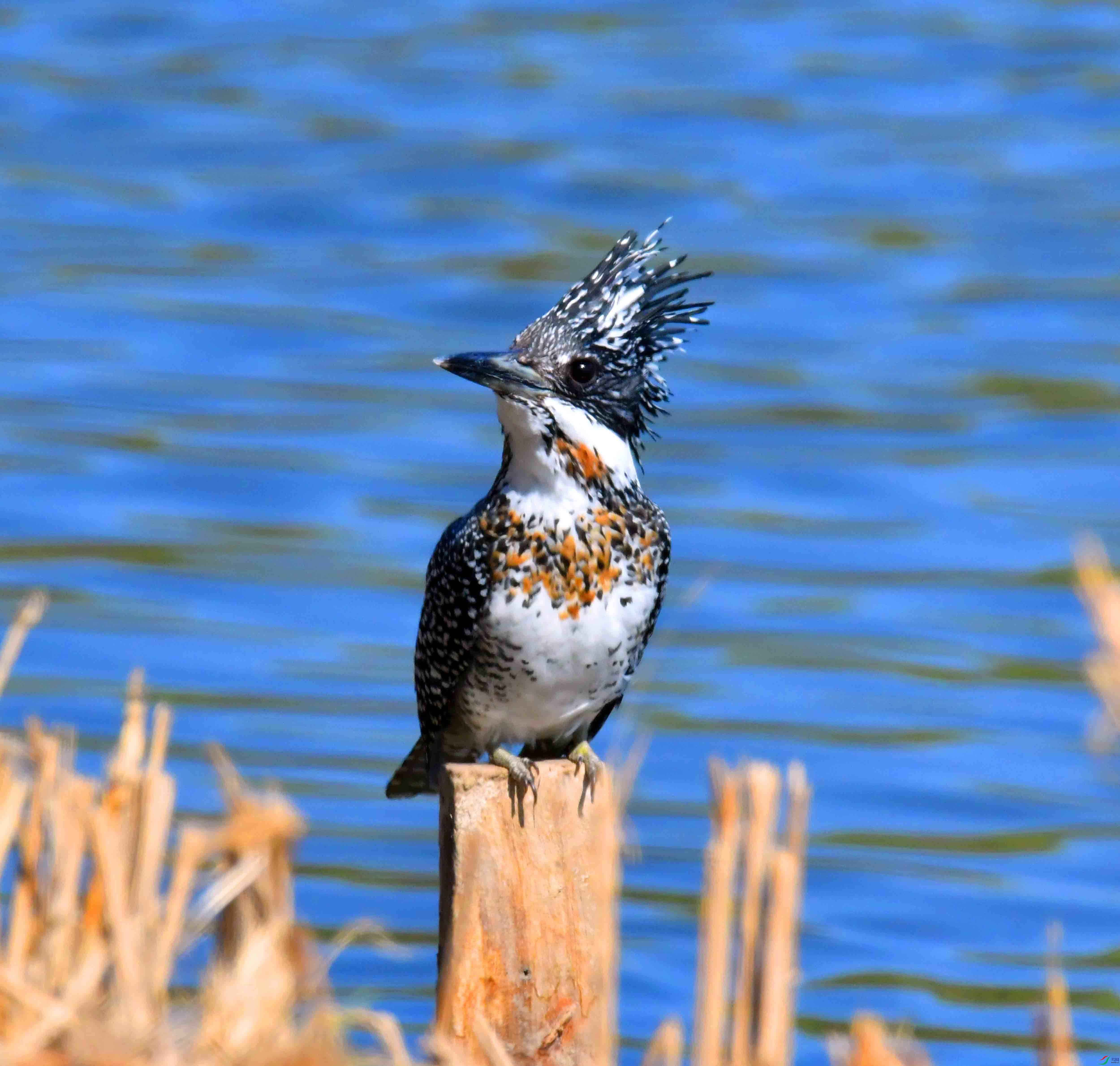 DSC_0844.JPG