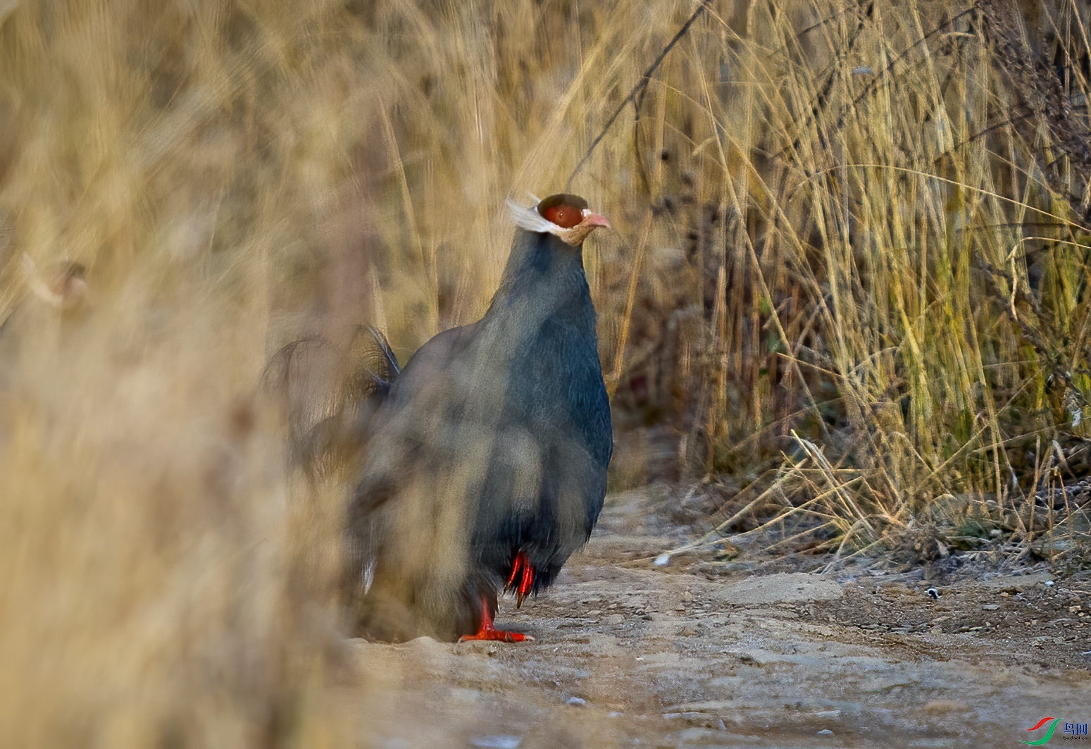 _DSC3762-1.jpg