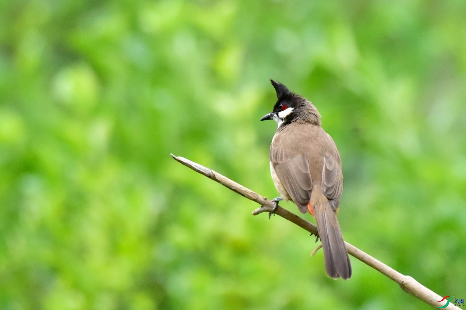 DSC_2726.JPG