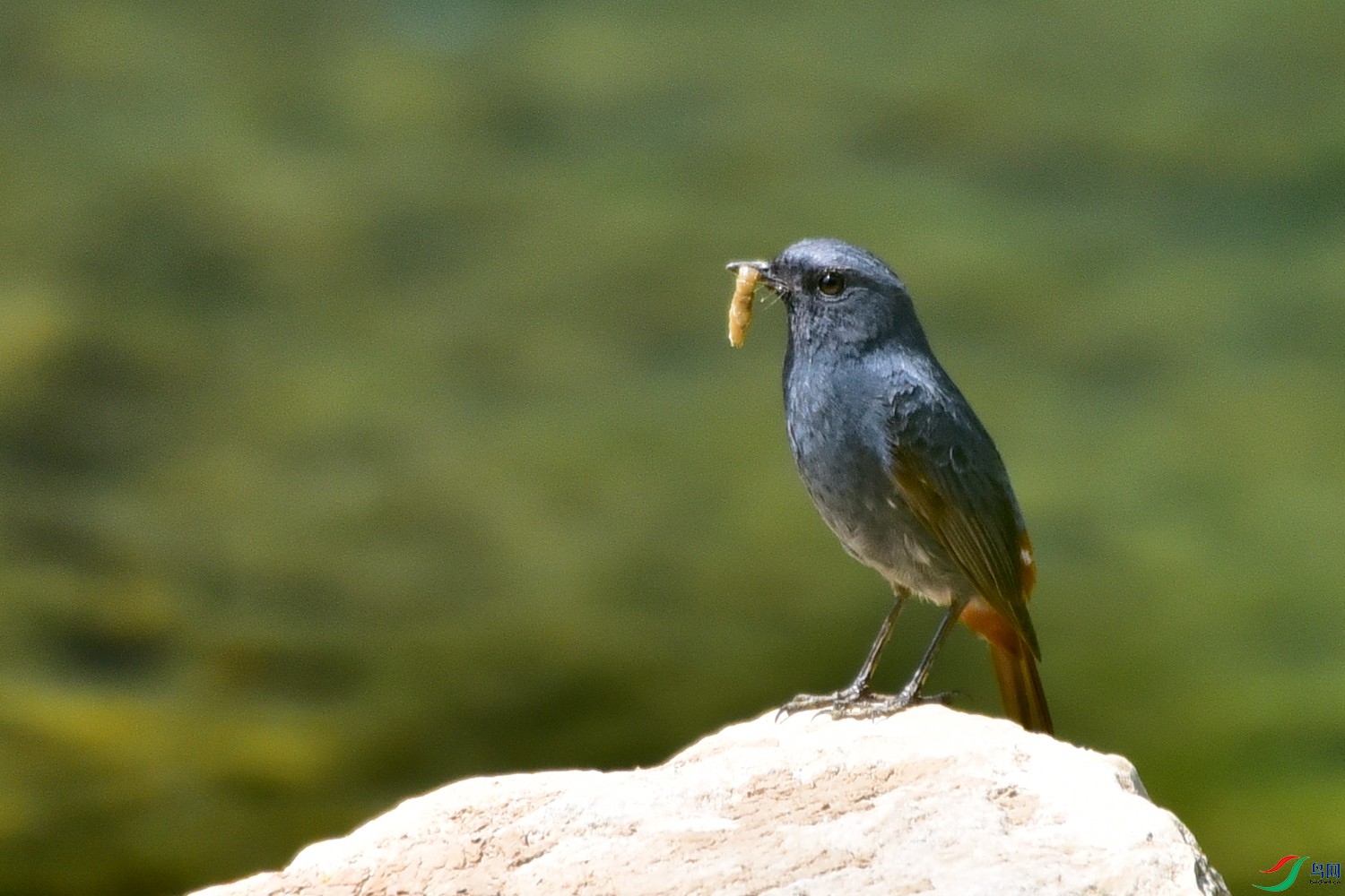 DSC_7651.JPG