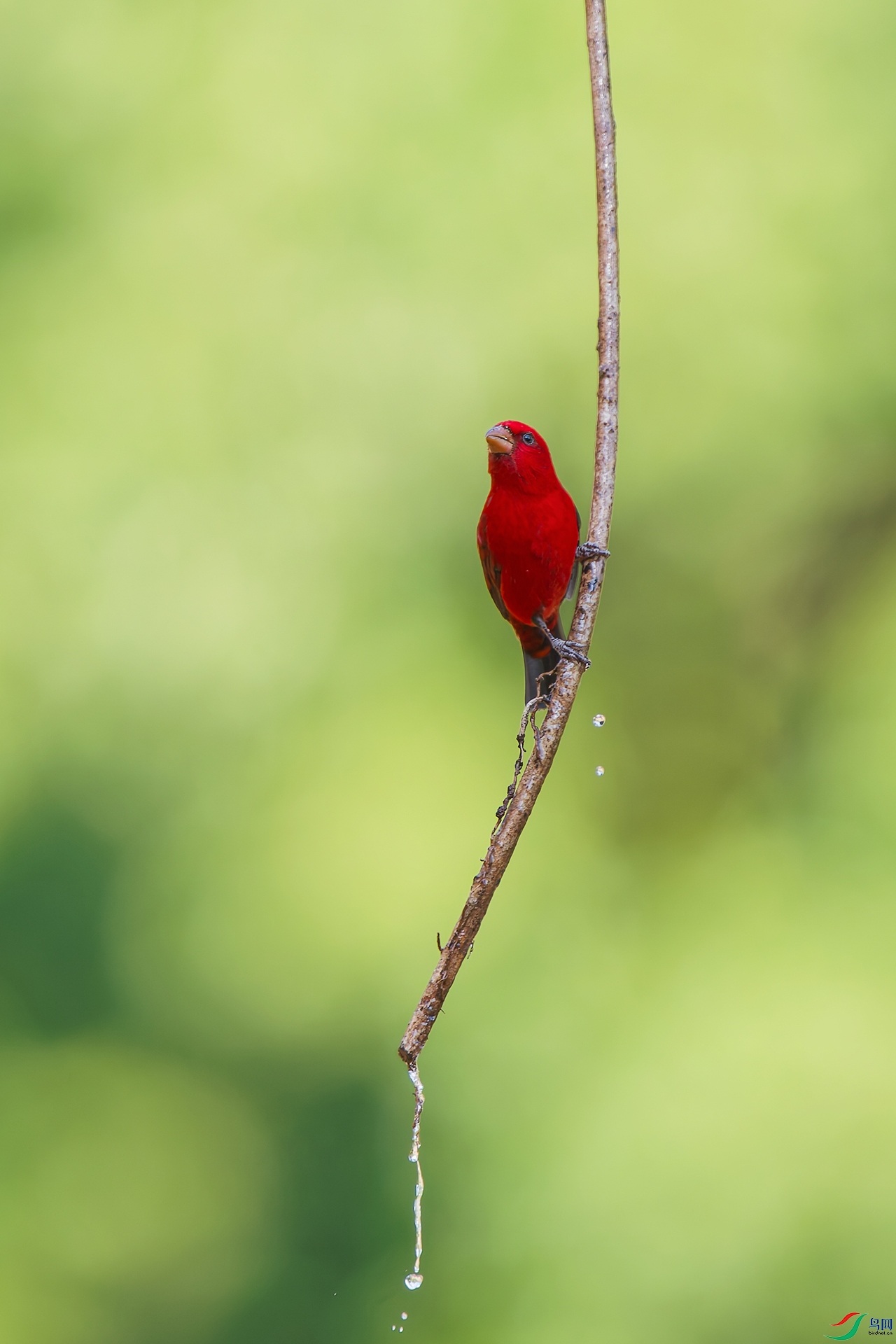 DSC_8378_DxO_DxO.jpga.jpg