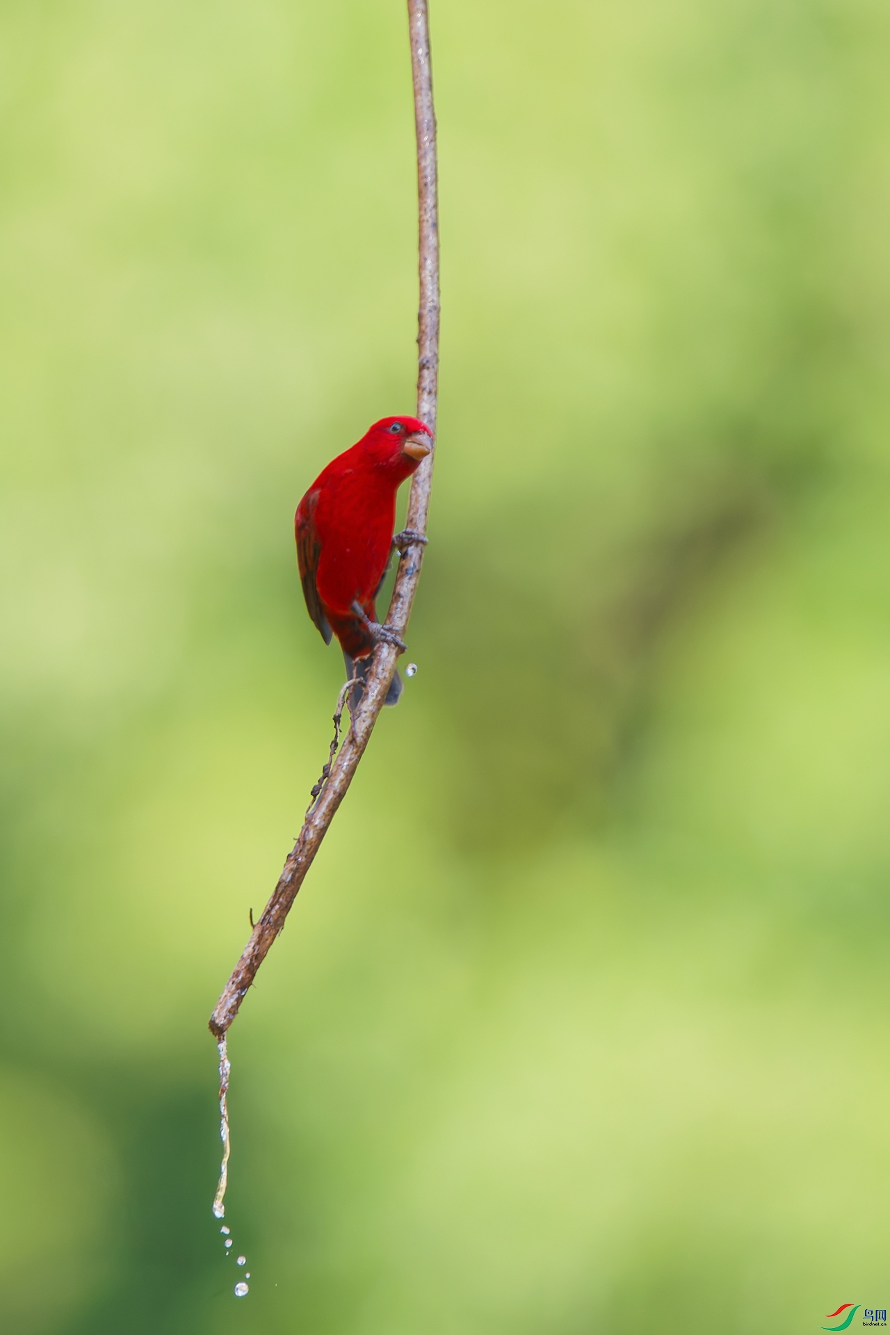 DSC_8352_DxO_DxO.jpga.jpg