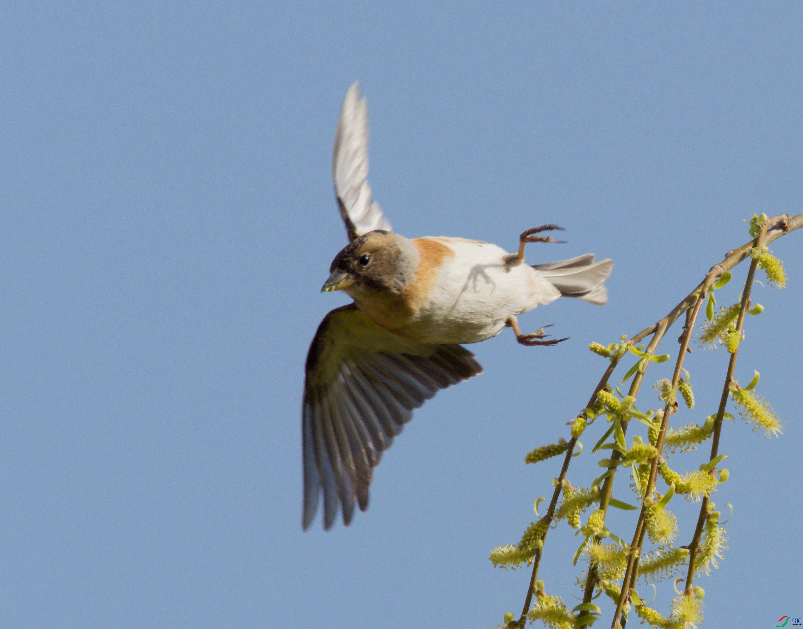 32014672_����_����.jpg