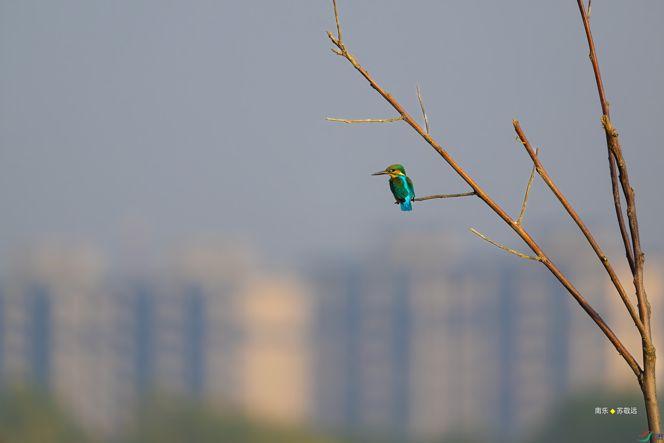 _DSC6277-DxO_С.jpg