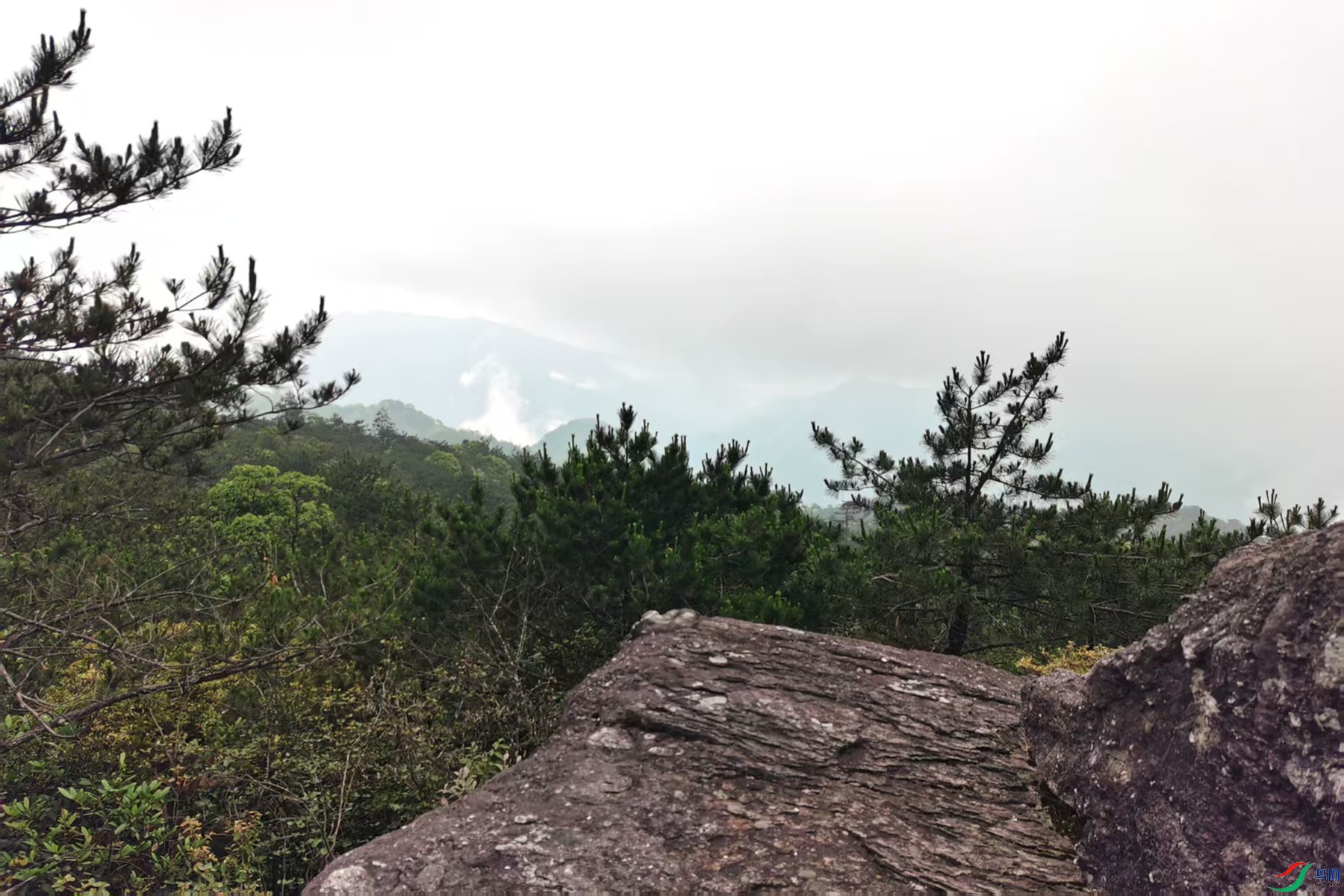 ΢��ͼƬ_20260604220649_759_363.jpg