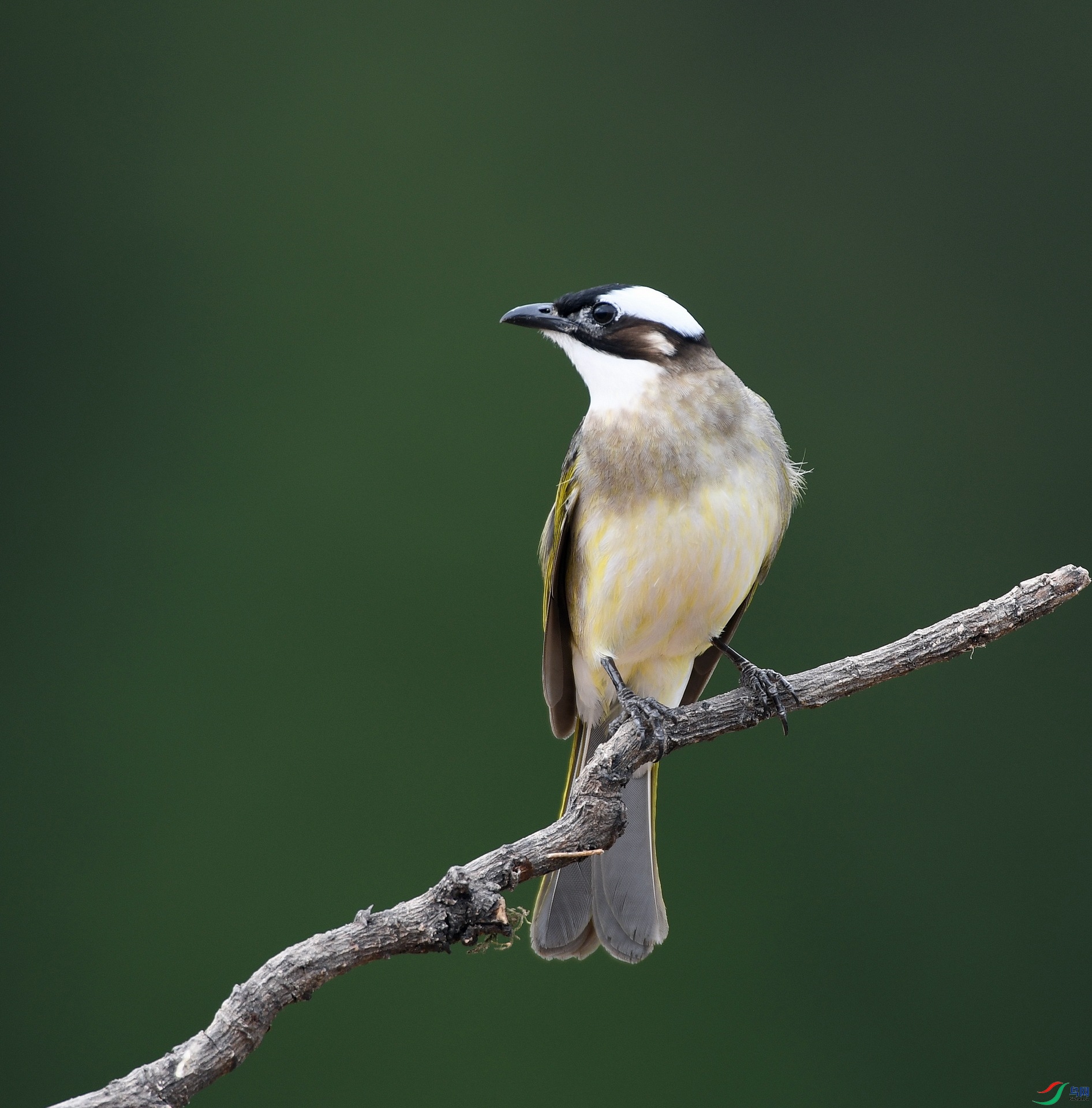 DSC_5755.jpg