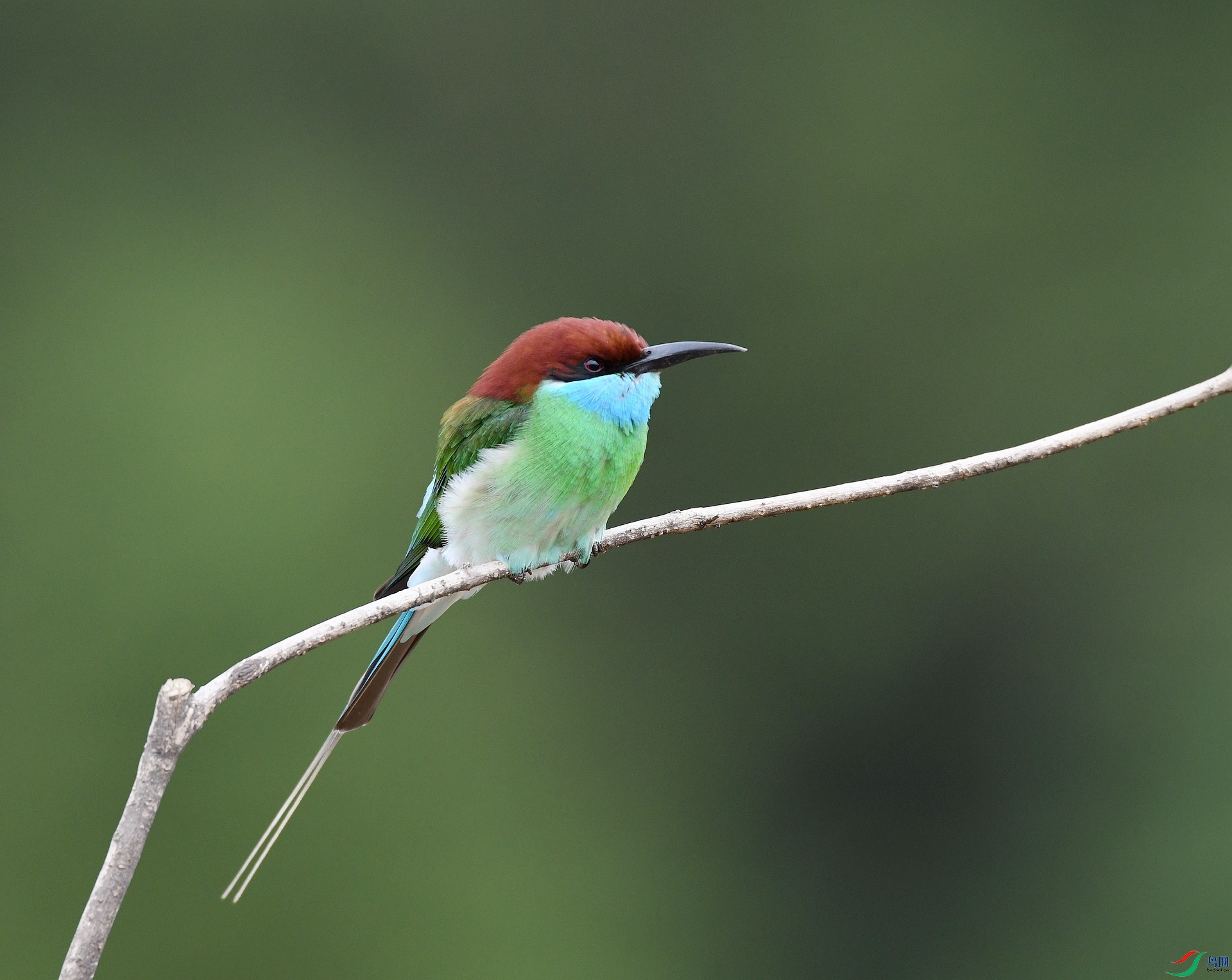 DSC_1848.jpg