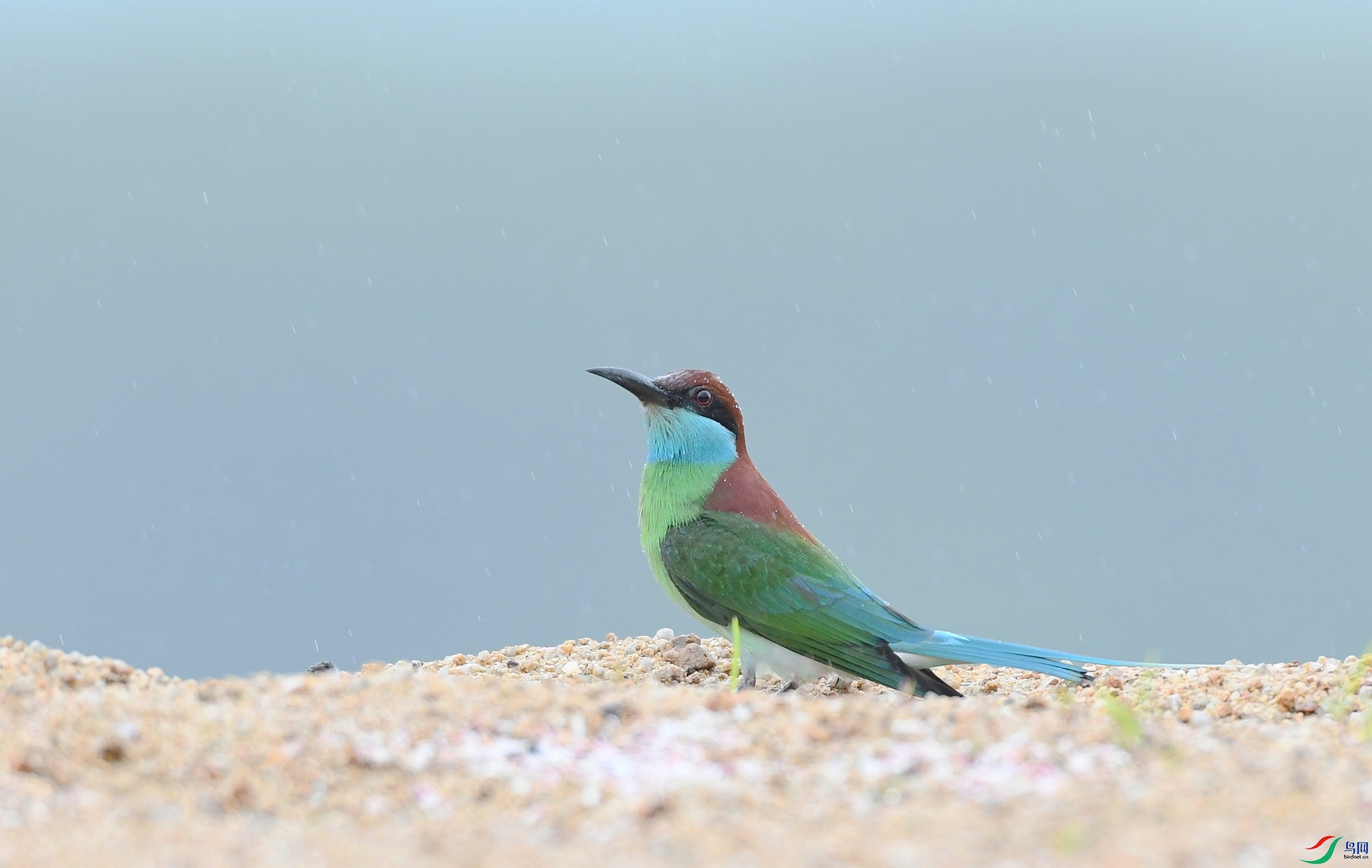 DSC_1399.jpg