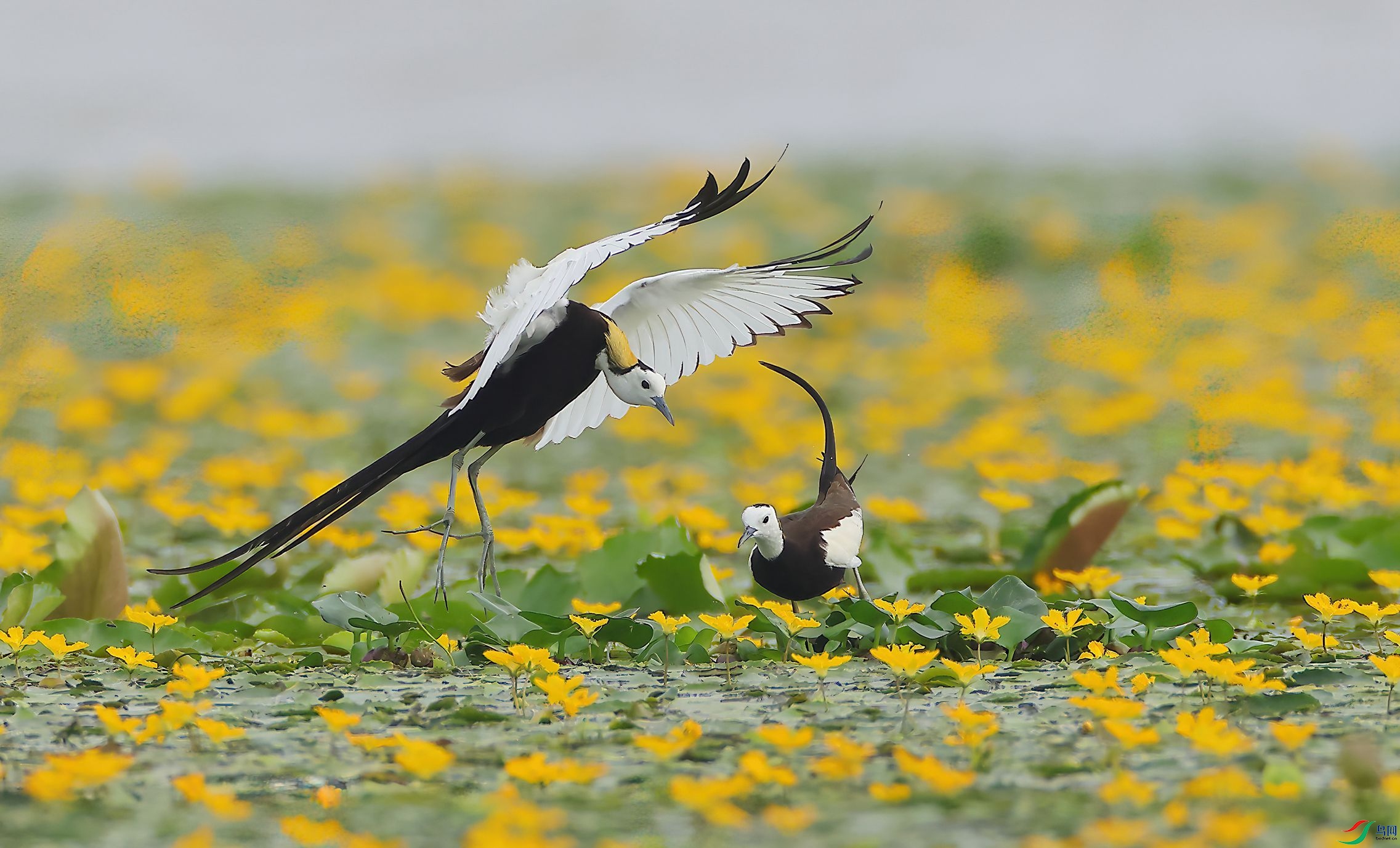 4R6A7715-SharpenAI-Motion.jpg