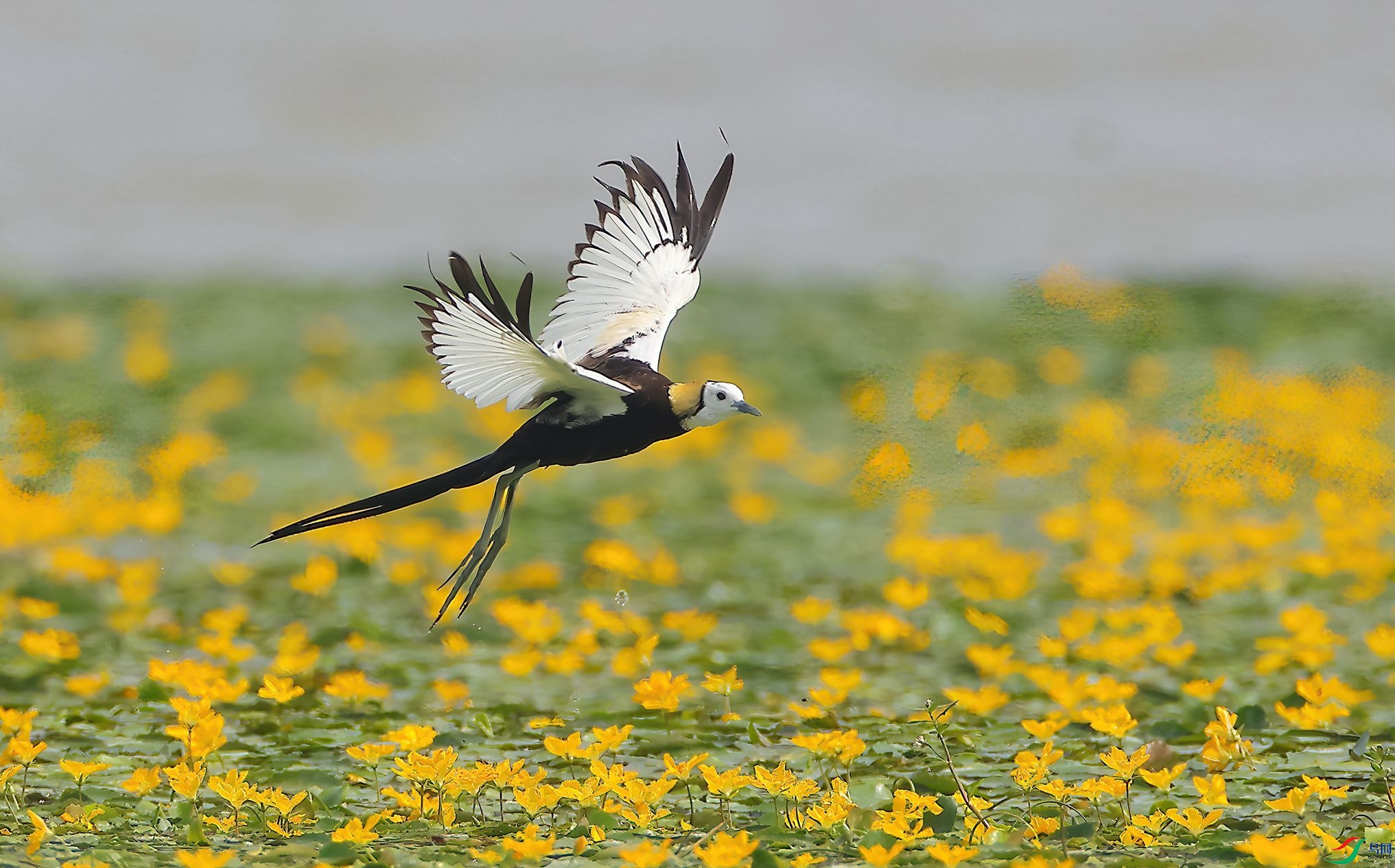 4R6A8204-SharpenAI-Motion.jpg