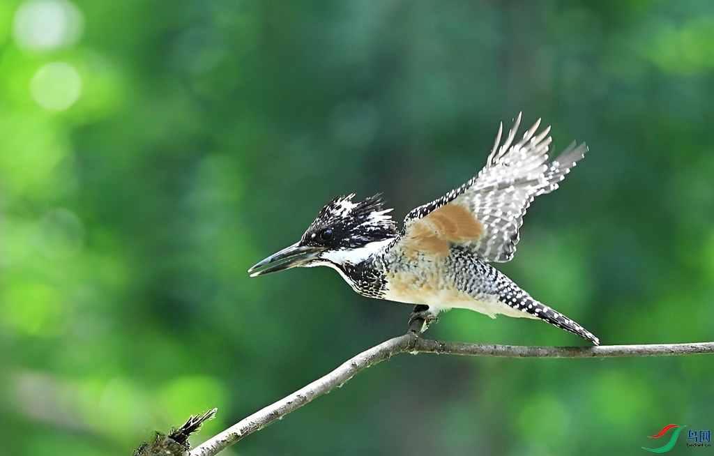 DSC_4577.JPG