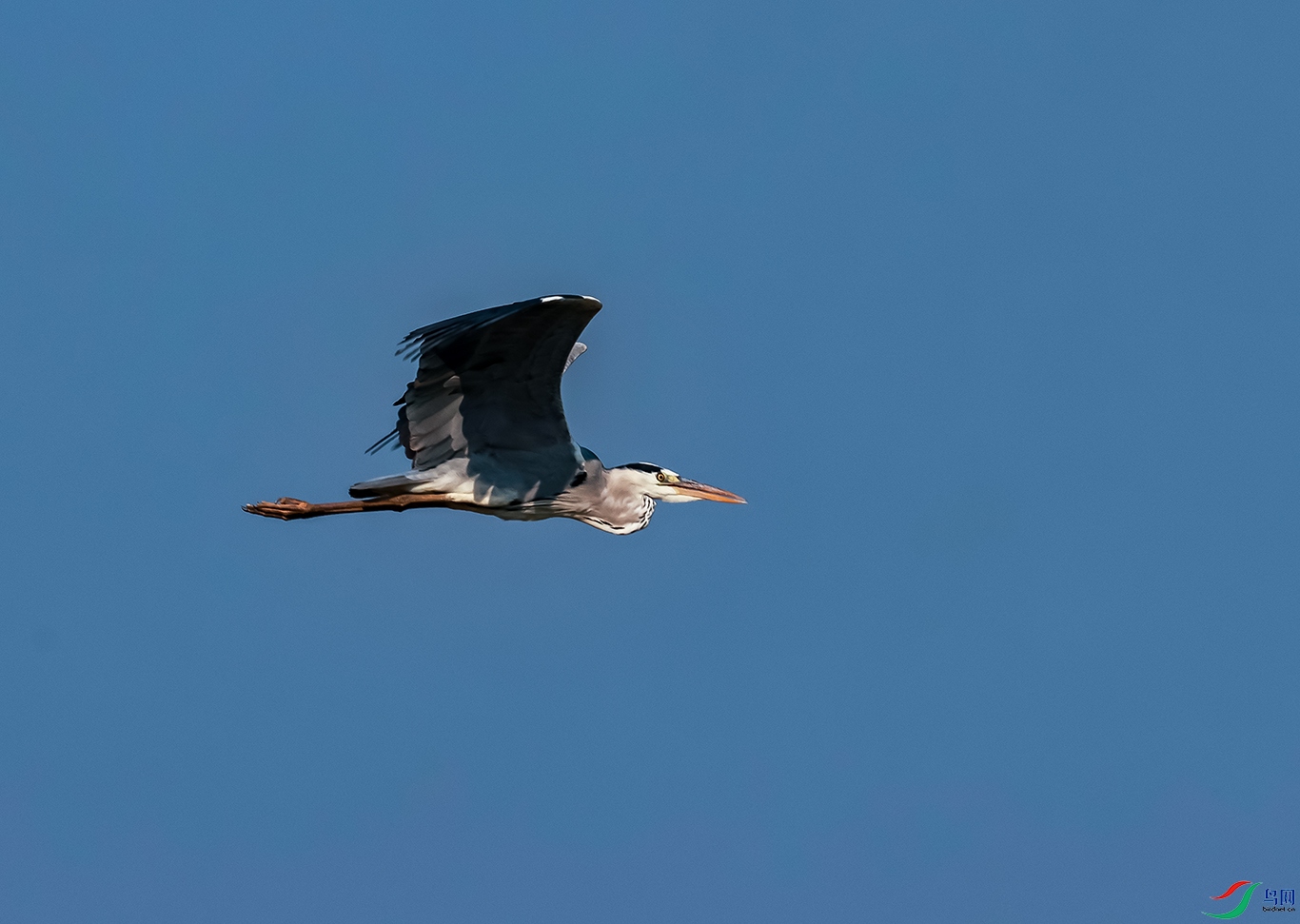 0J2A9952-0.jpg