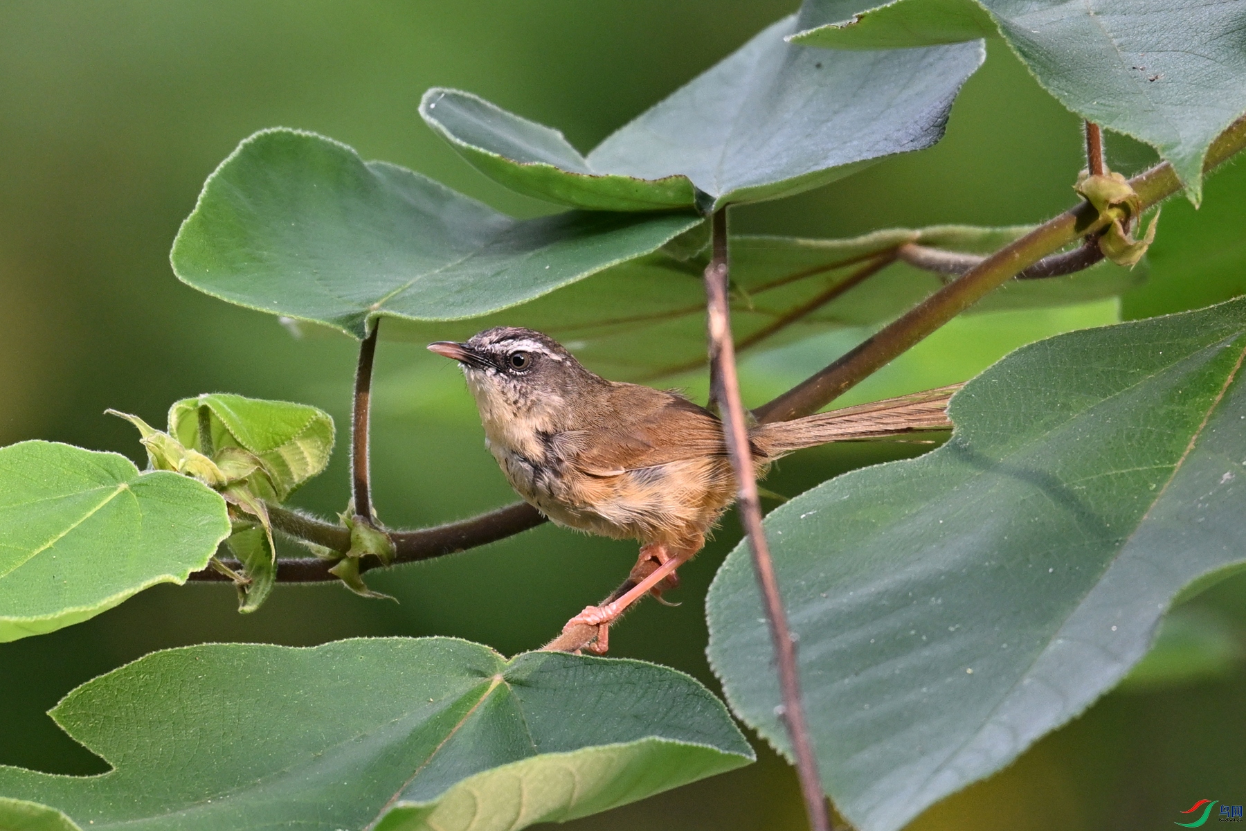 DSC_0007.JPG
