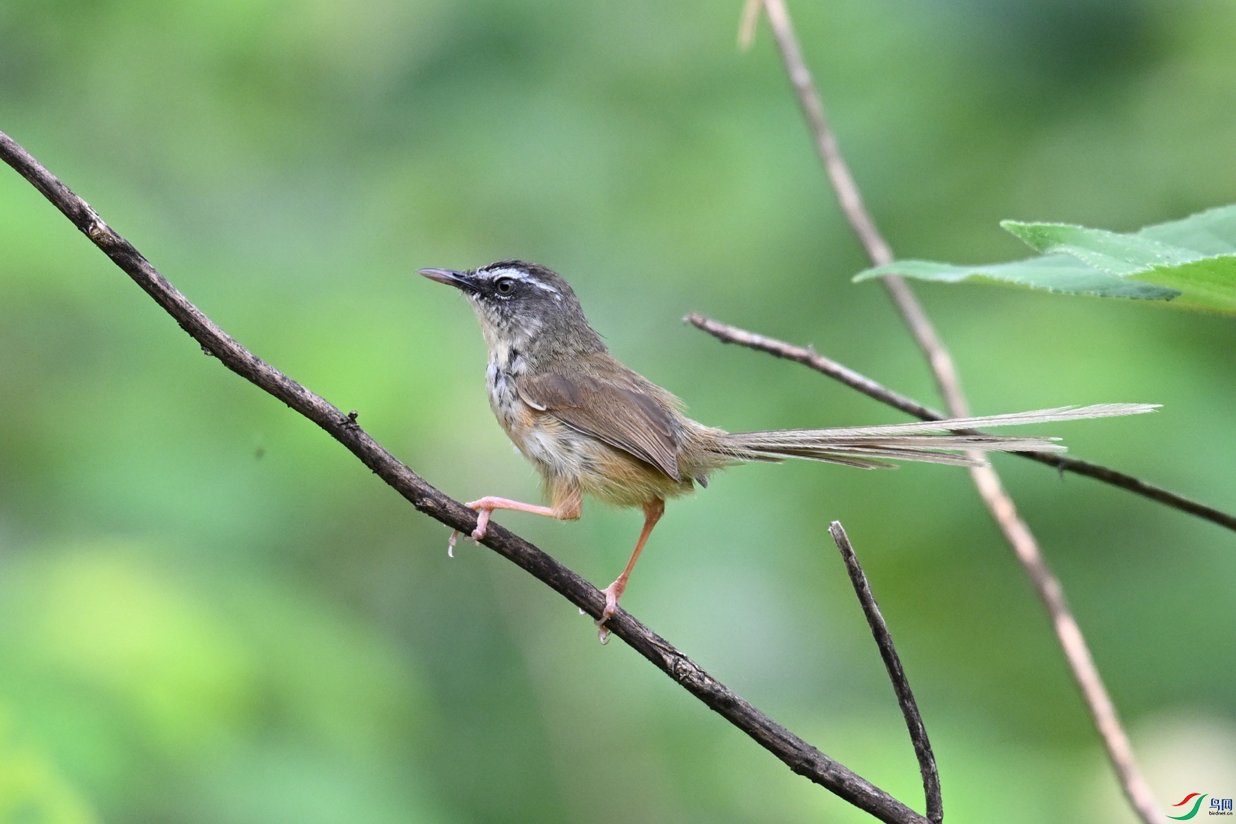 DSC_0023.JPG