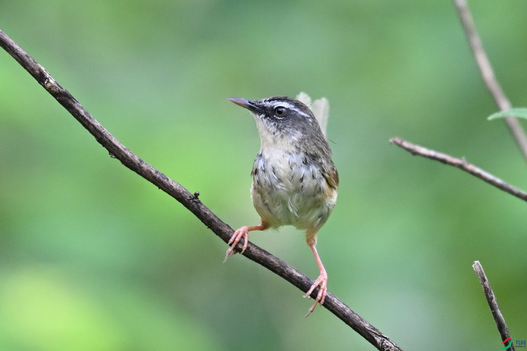DSC_0032.JPG