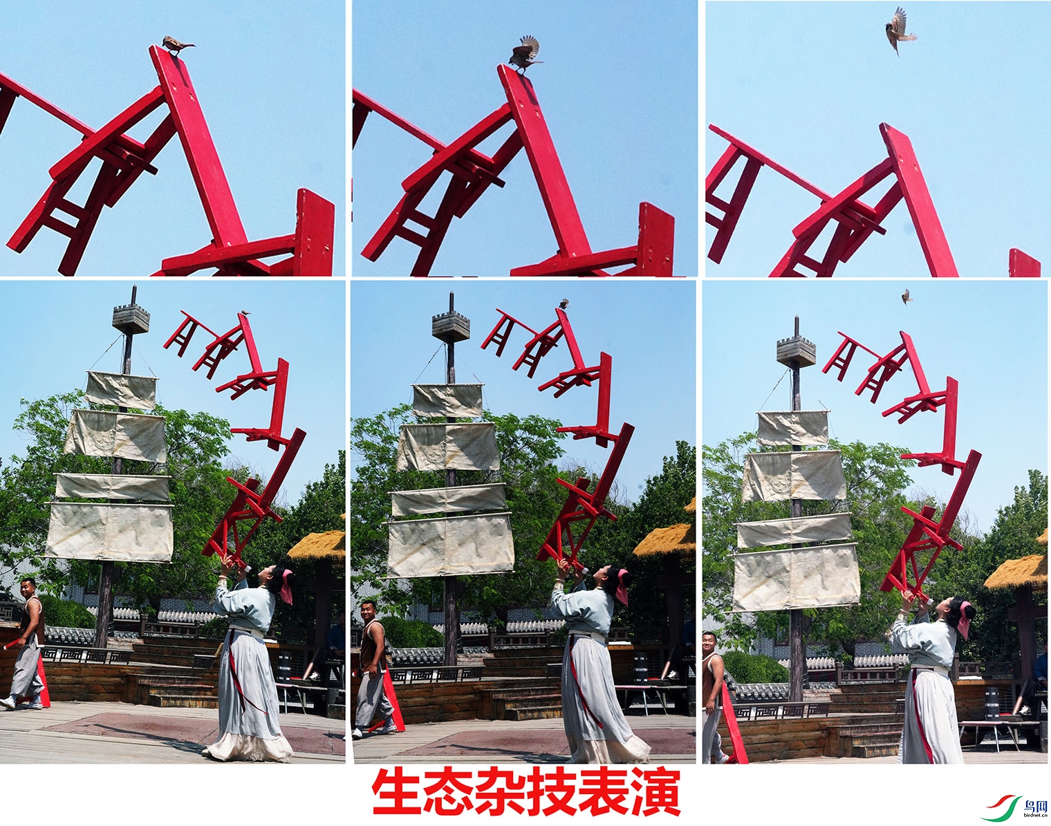 DSC05008112aa.jpg