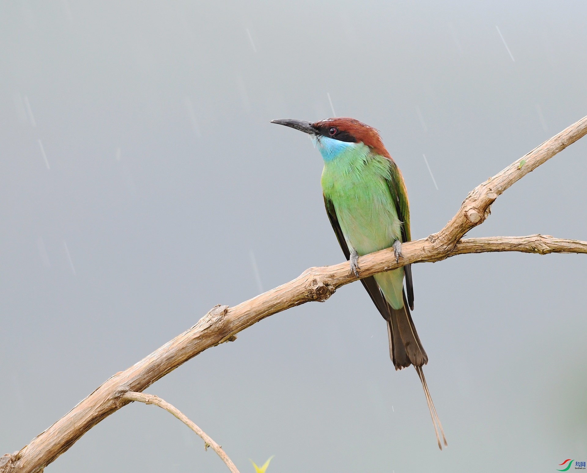 DSC_1240.jpg
