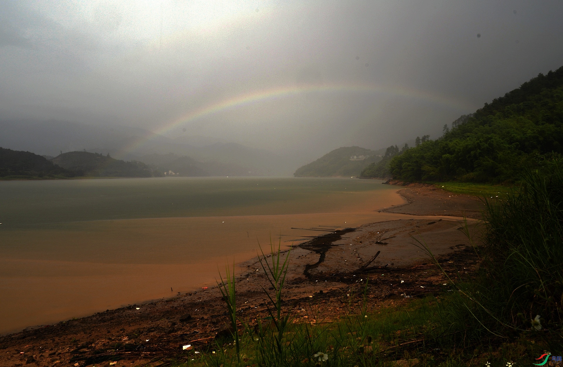 DSC_1528.jpg