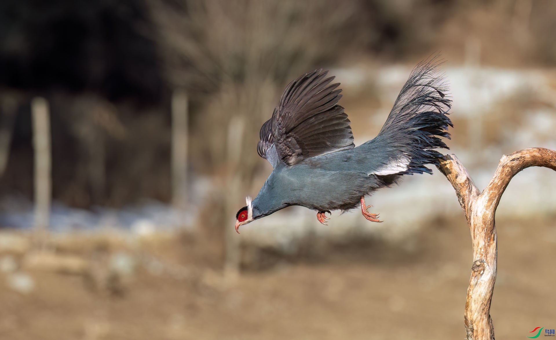 0L7A2691.jpg