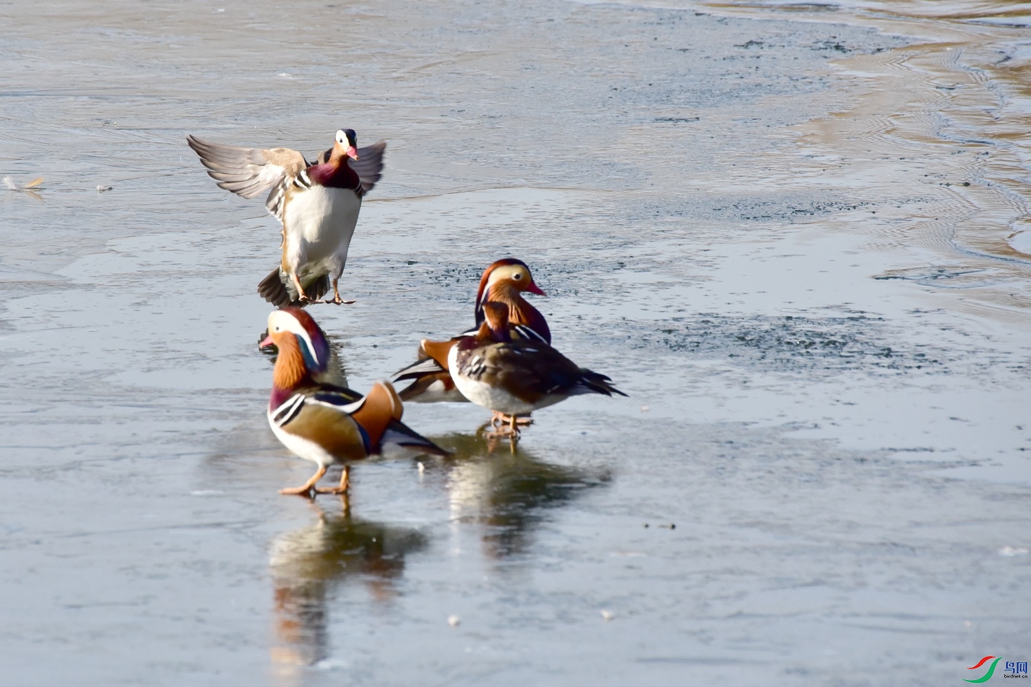 DSC_8016.JPG