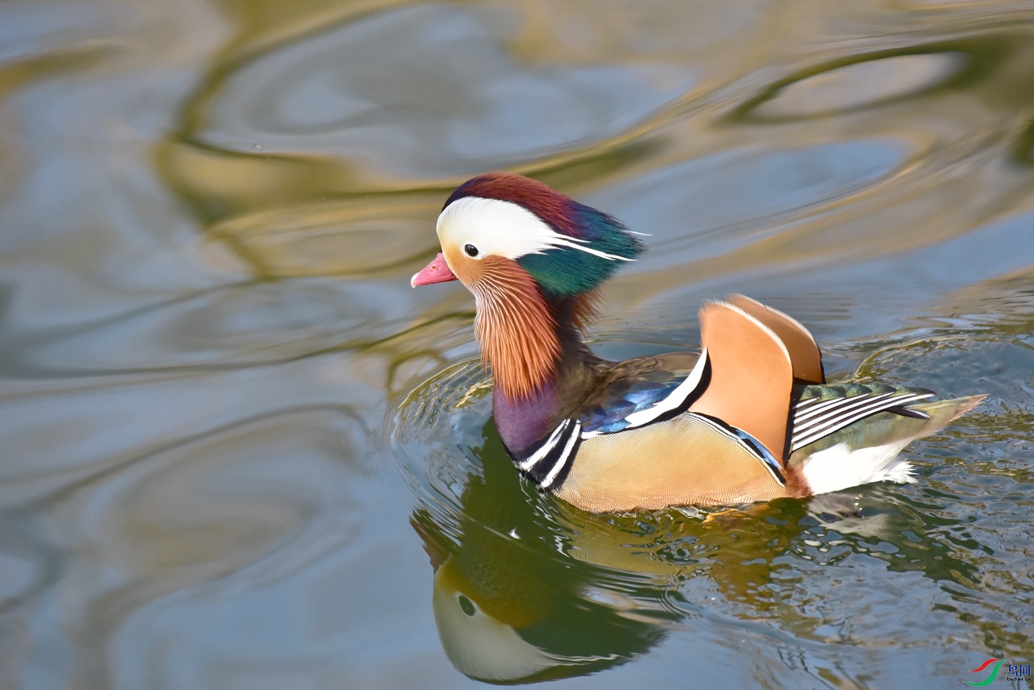 DSC_8005.JPG