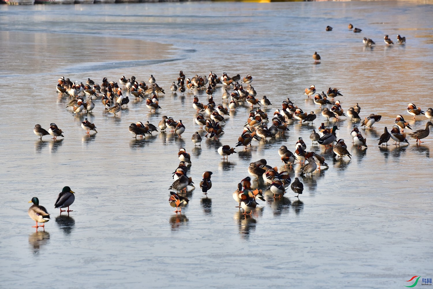 DSC_7640.JPG