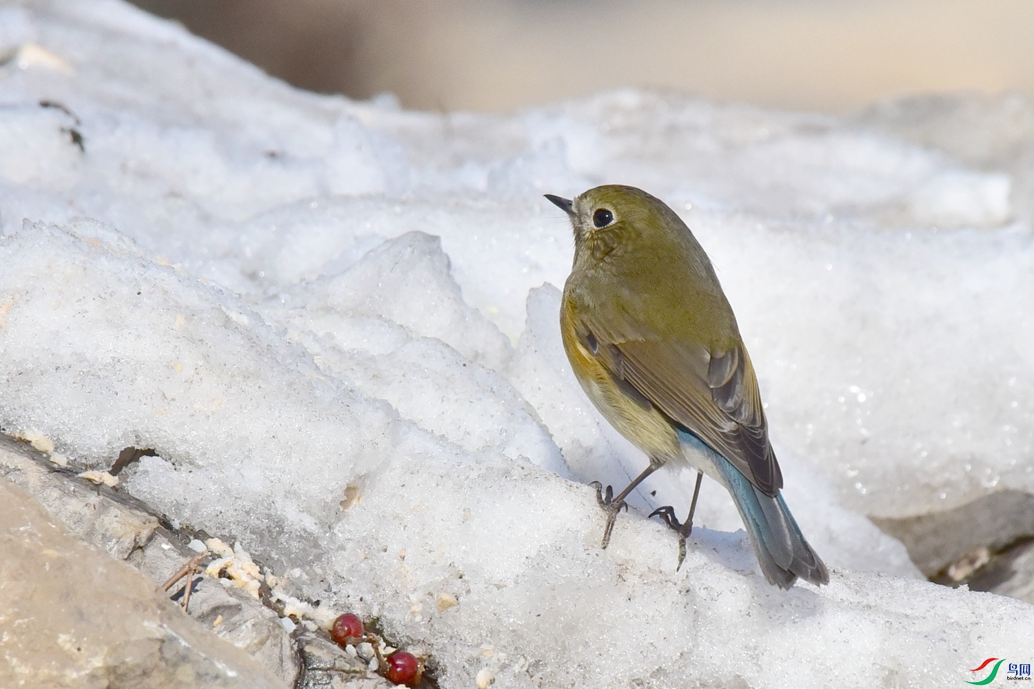 DSC_3381.JPG