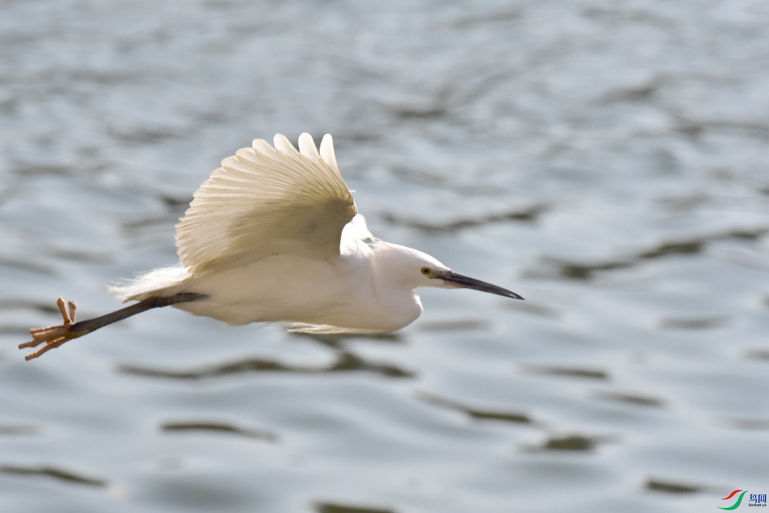 DSC_6145.JPG