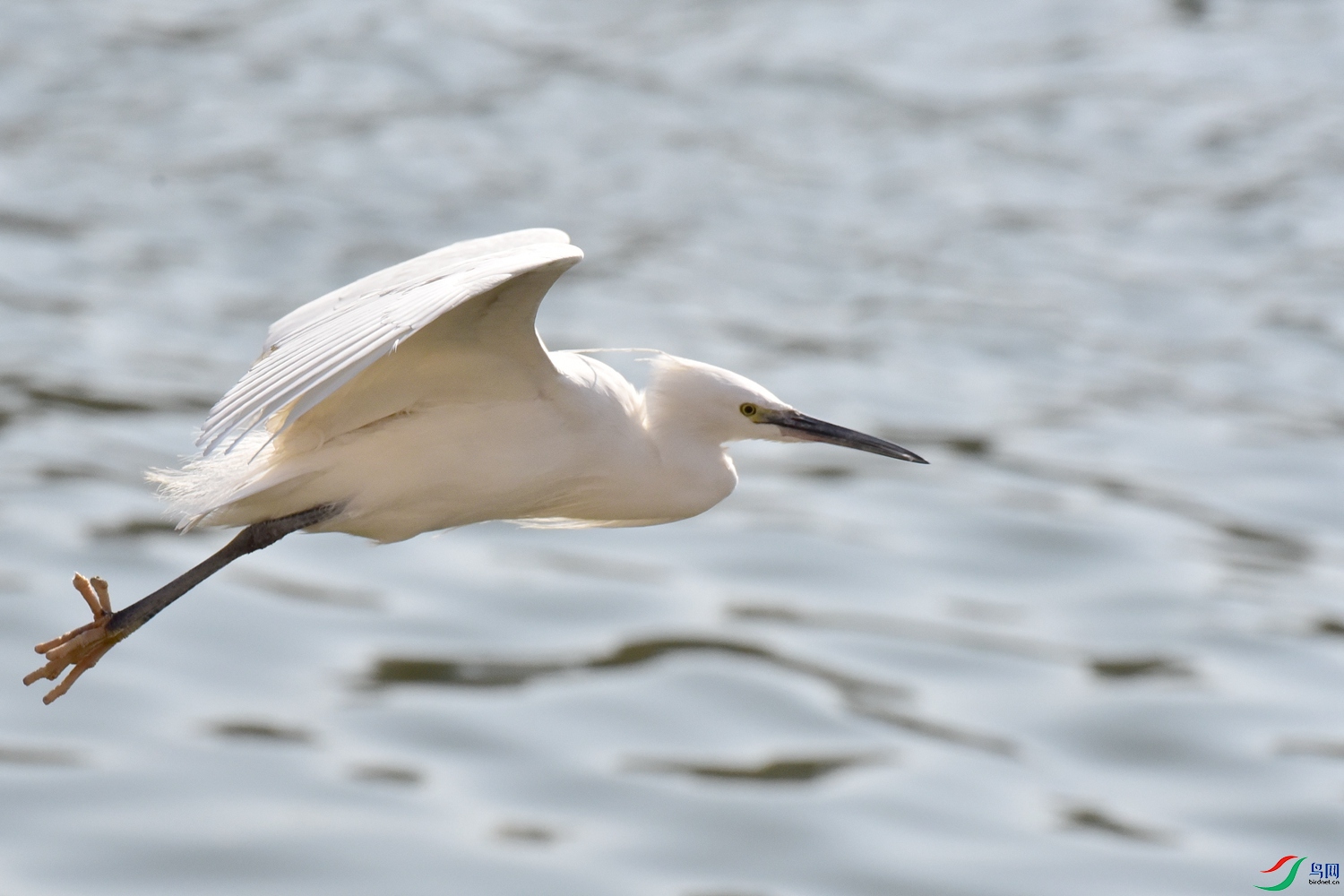 DSC_6146.JPG