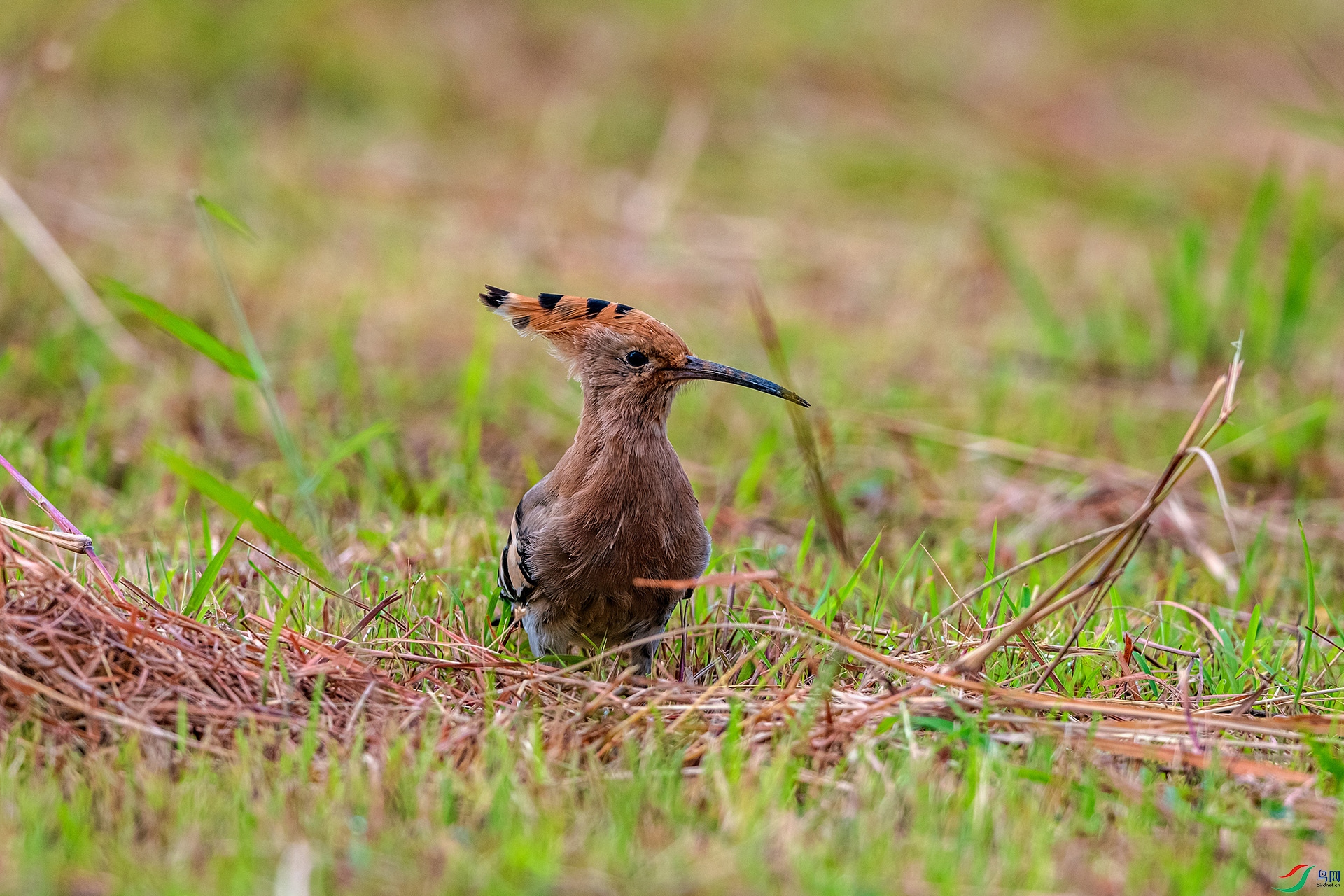 _AUU0230��ʤ(25.9.22).jpg