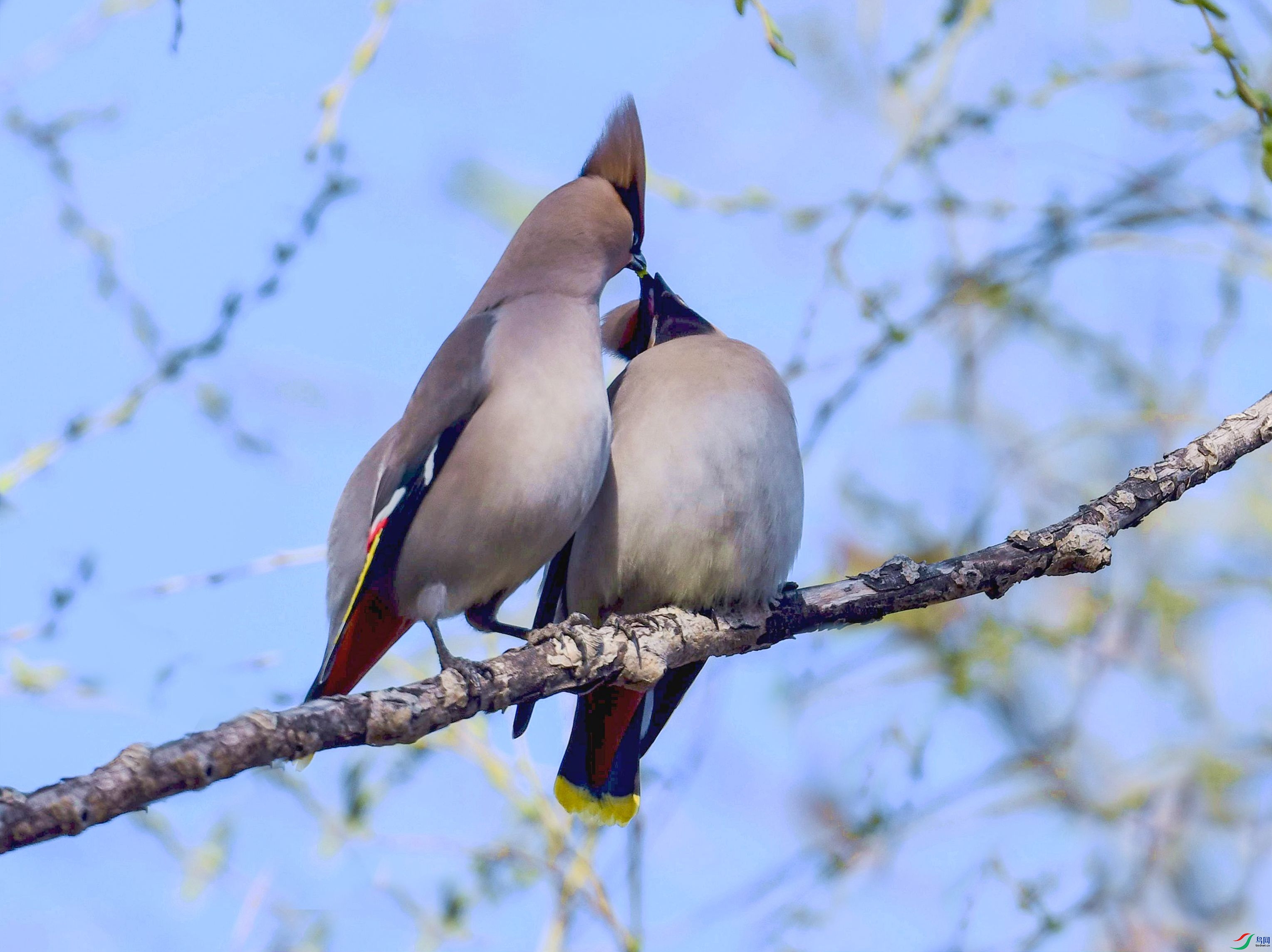 DSC_1858_����_����_����.jpg