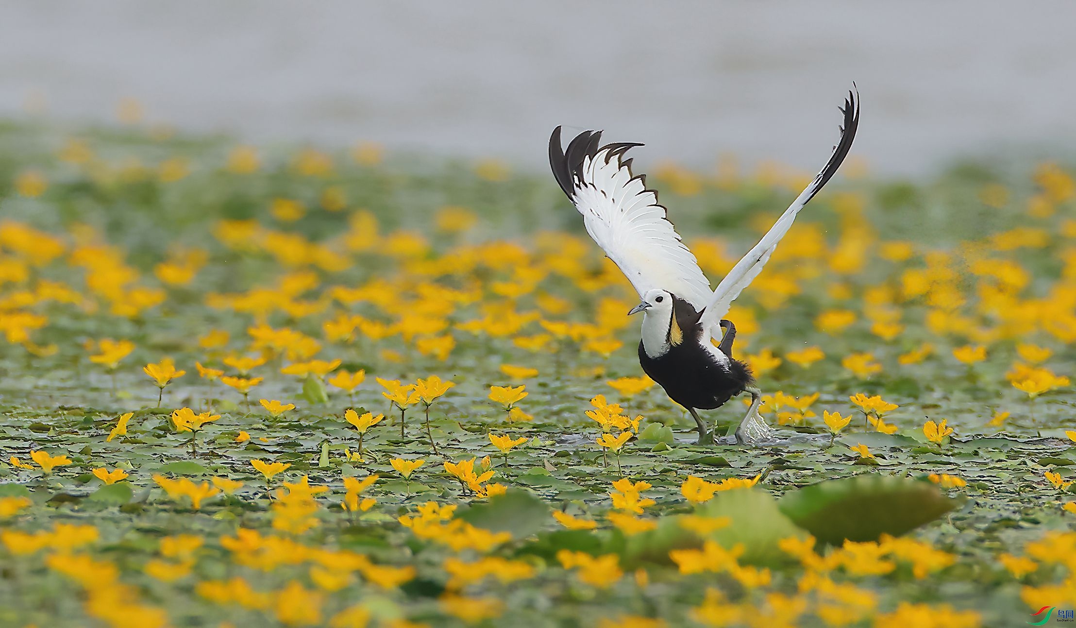 4R6A7771-SharpenAI-Motion.jpg