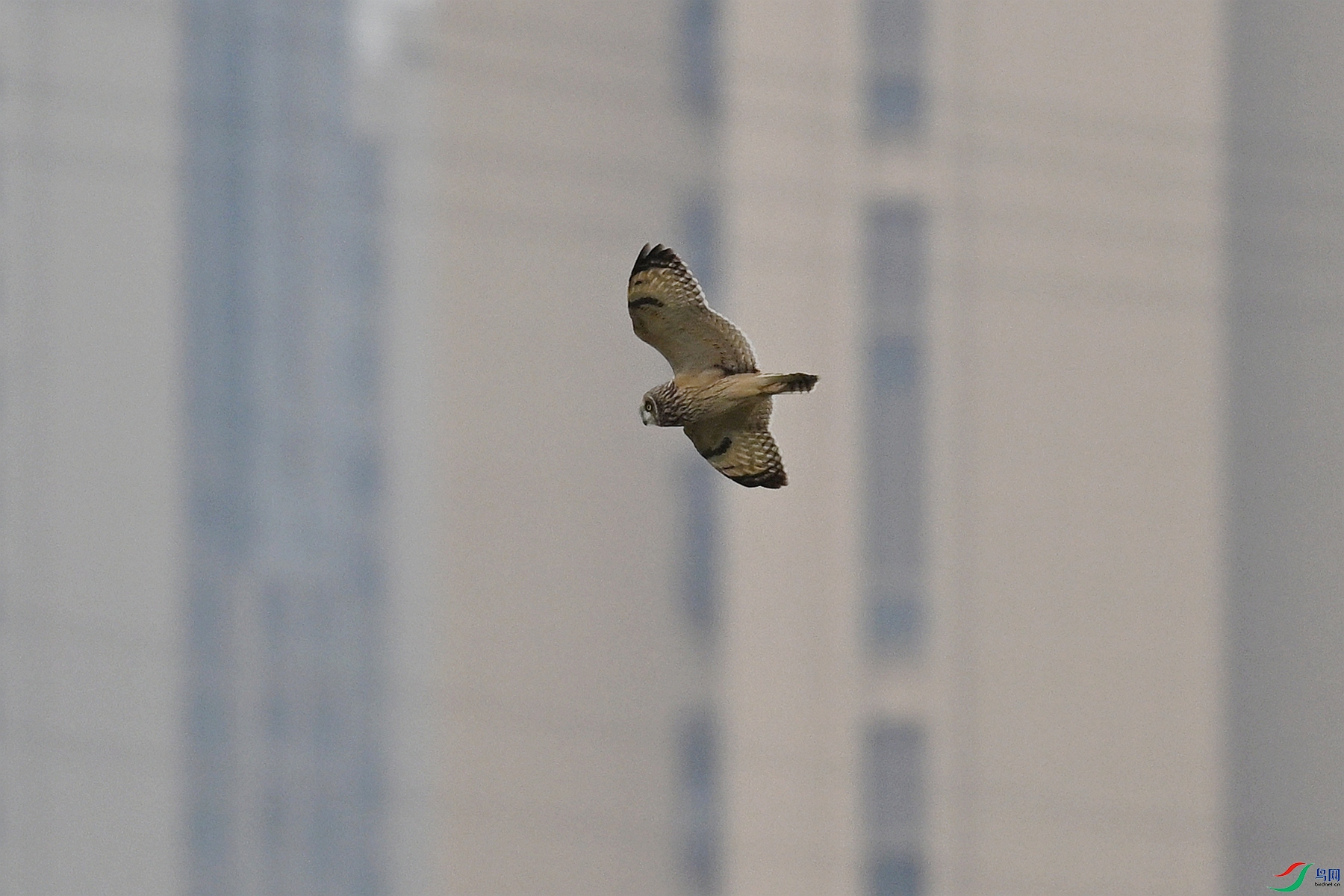 DSC_9048.JPG