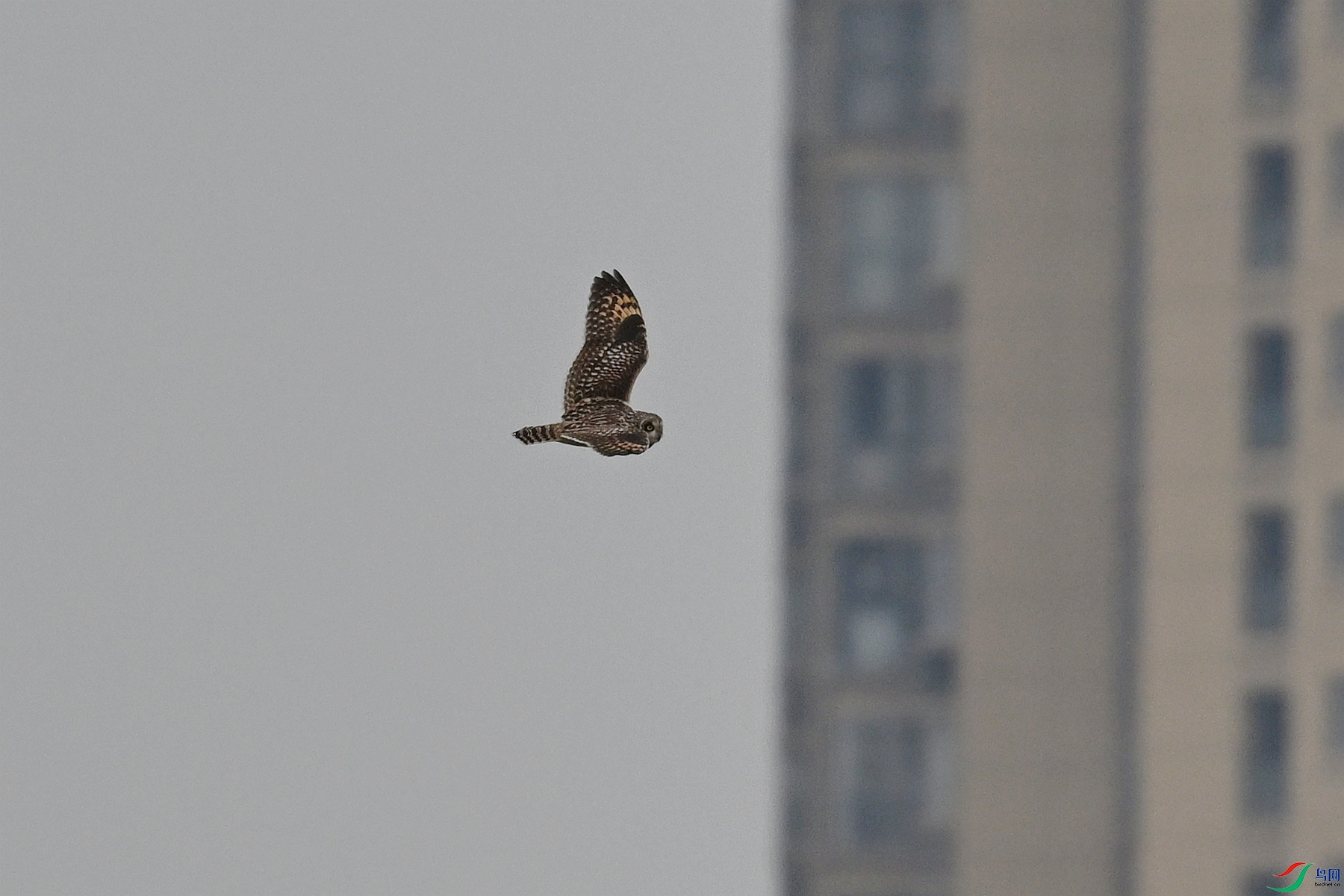DSC_9059.JPG