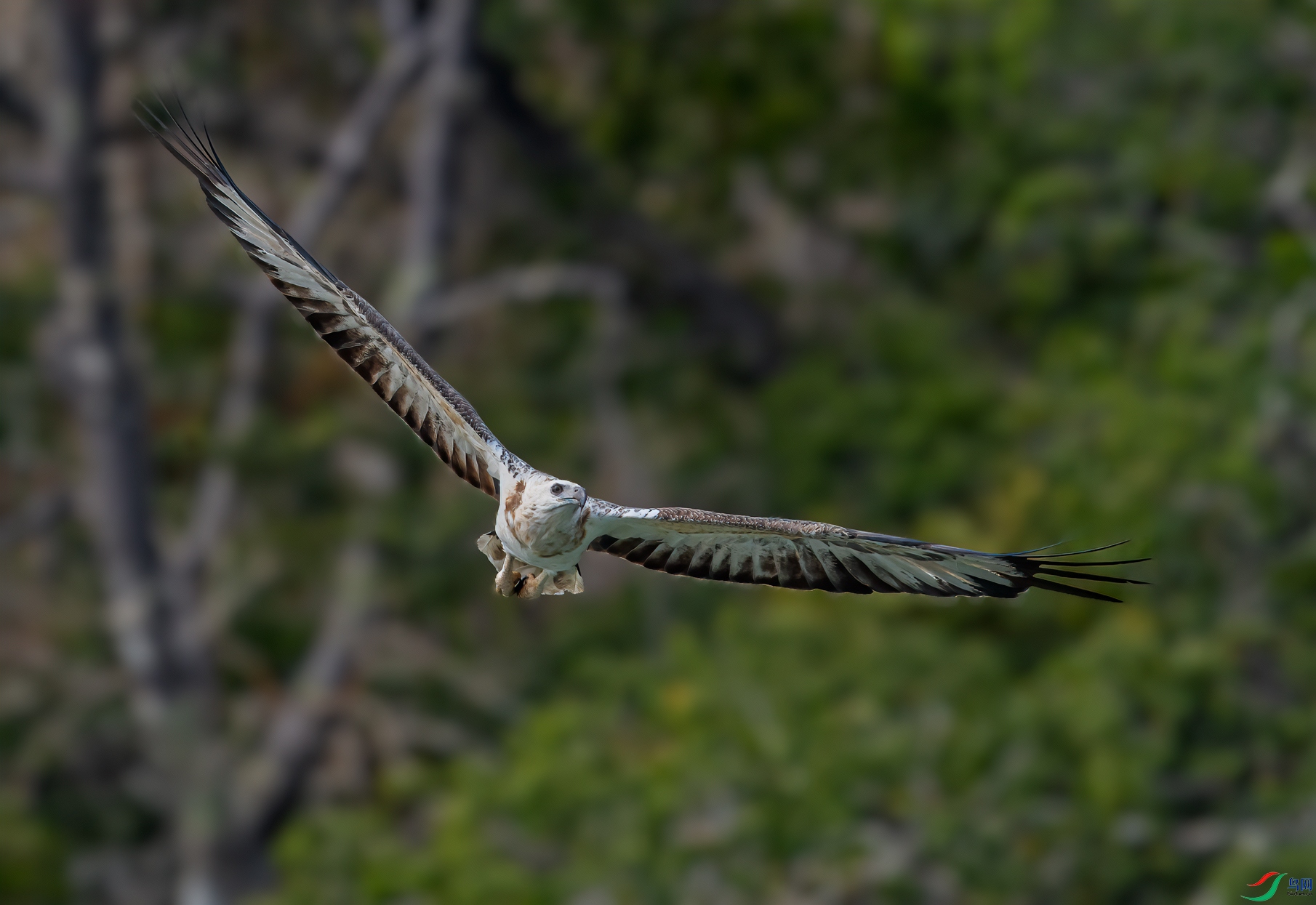 _DSC5867-1.jpg
