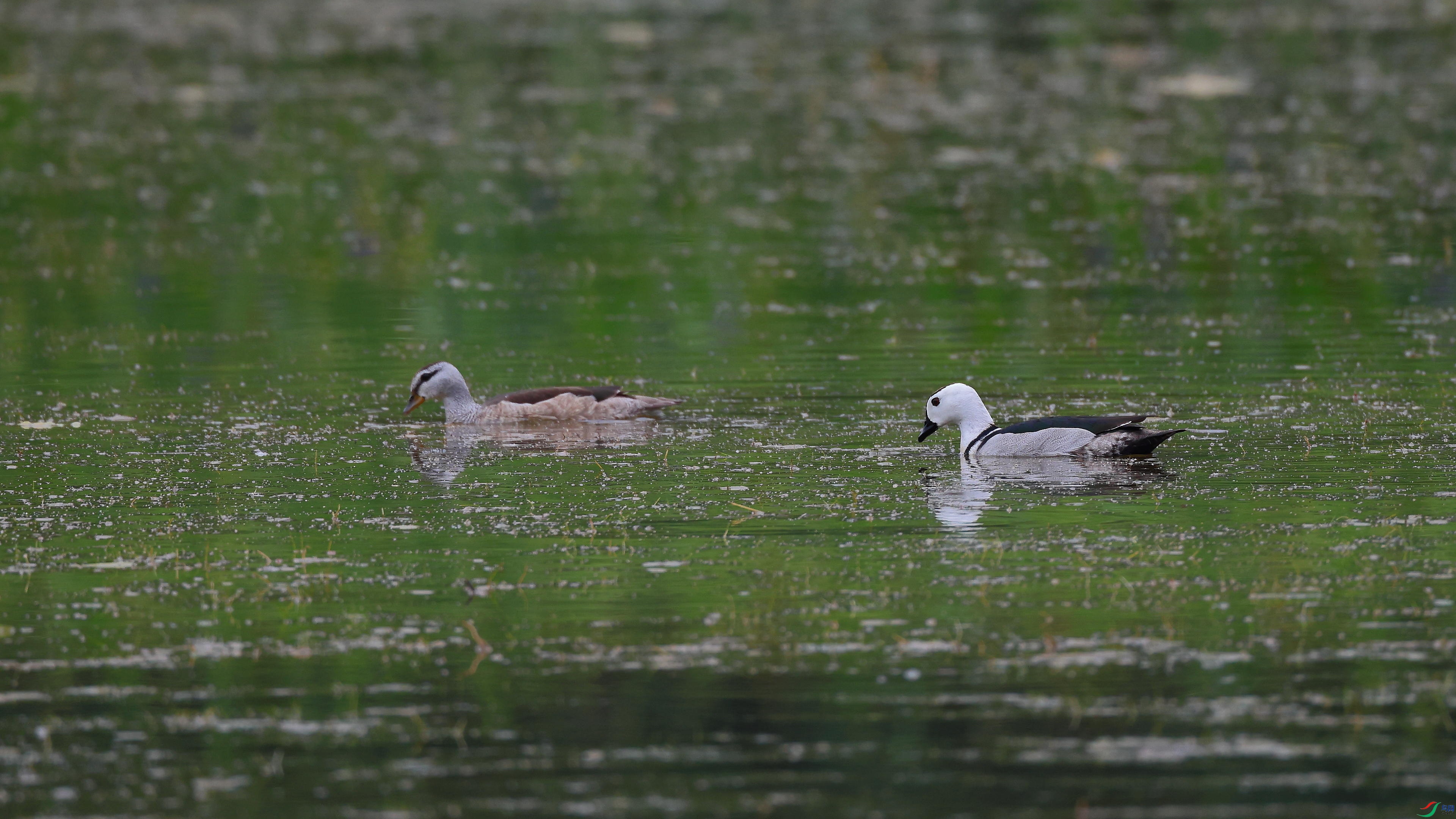IMG_5361.JPG