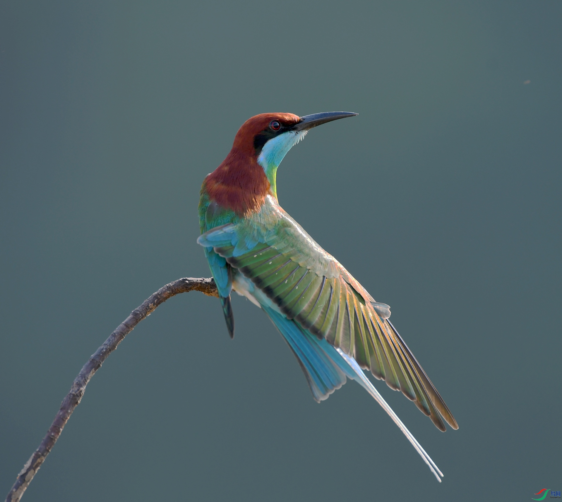 DSC_3934.jpg