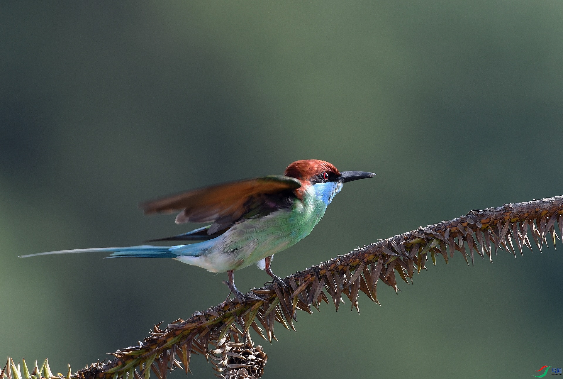DSC_4245.jpg