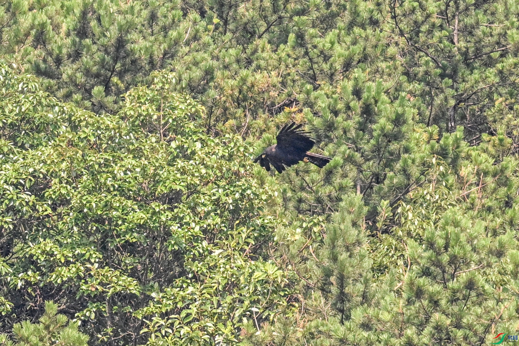 DSC_4431.JPG
