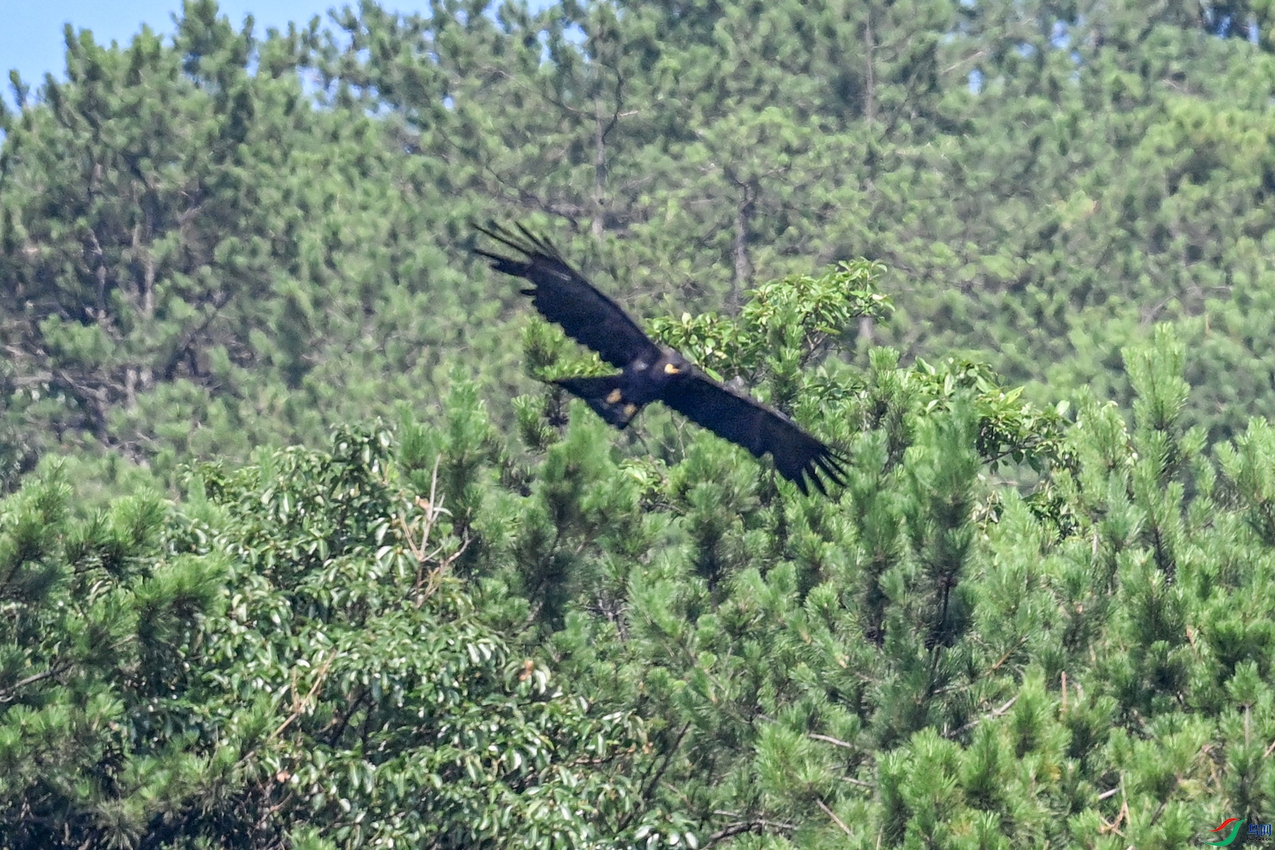 DSC_4110.JPG
