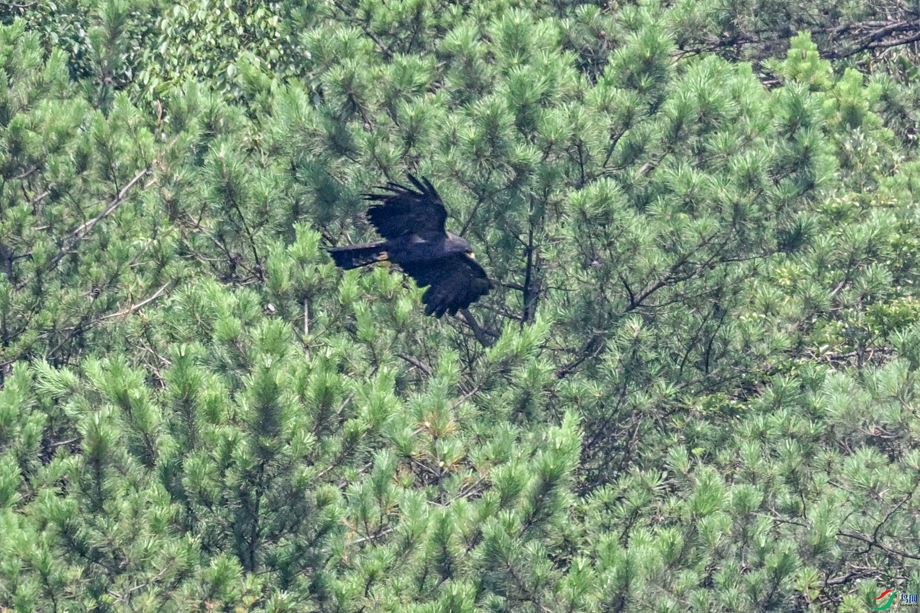 DSC_4454.JPG